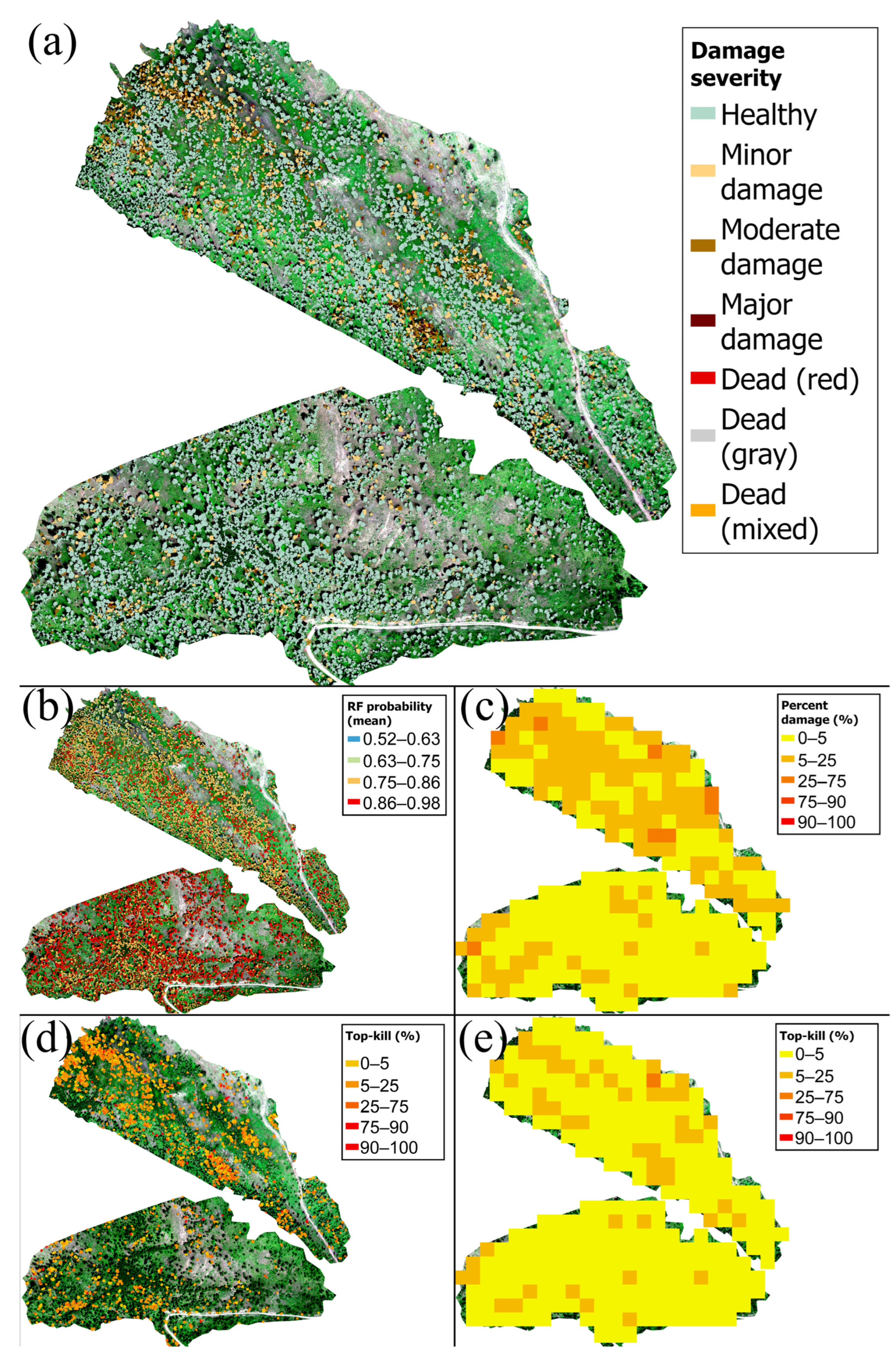 Remotesensing 16 01365 g006
