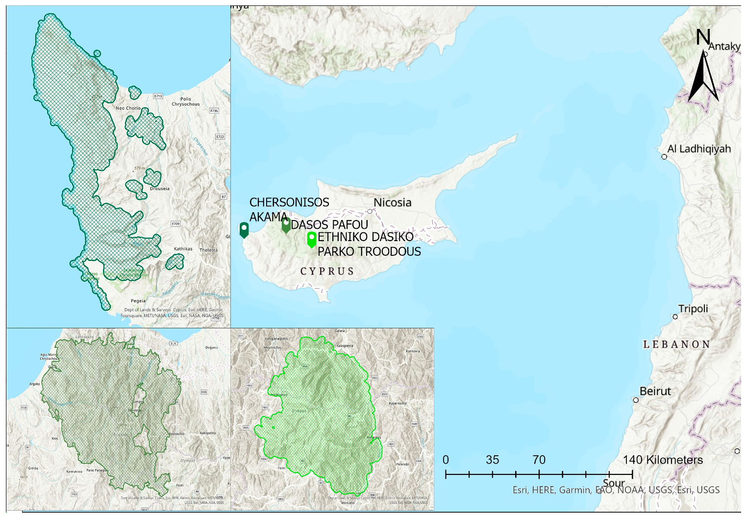 Remotesensing 16 01373 g001