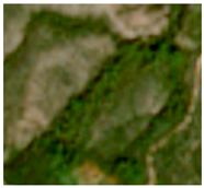 Remotesensing 16 01373 i002