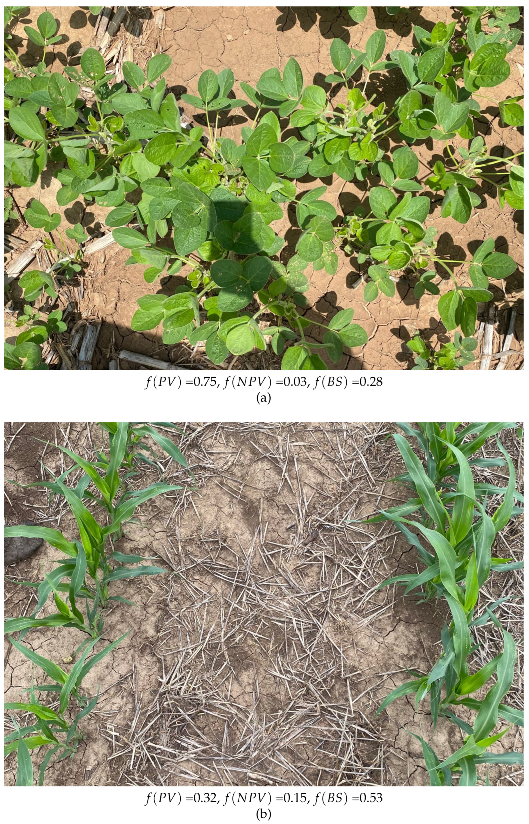 Remotesensing 16 01382 g005