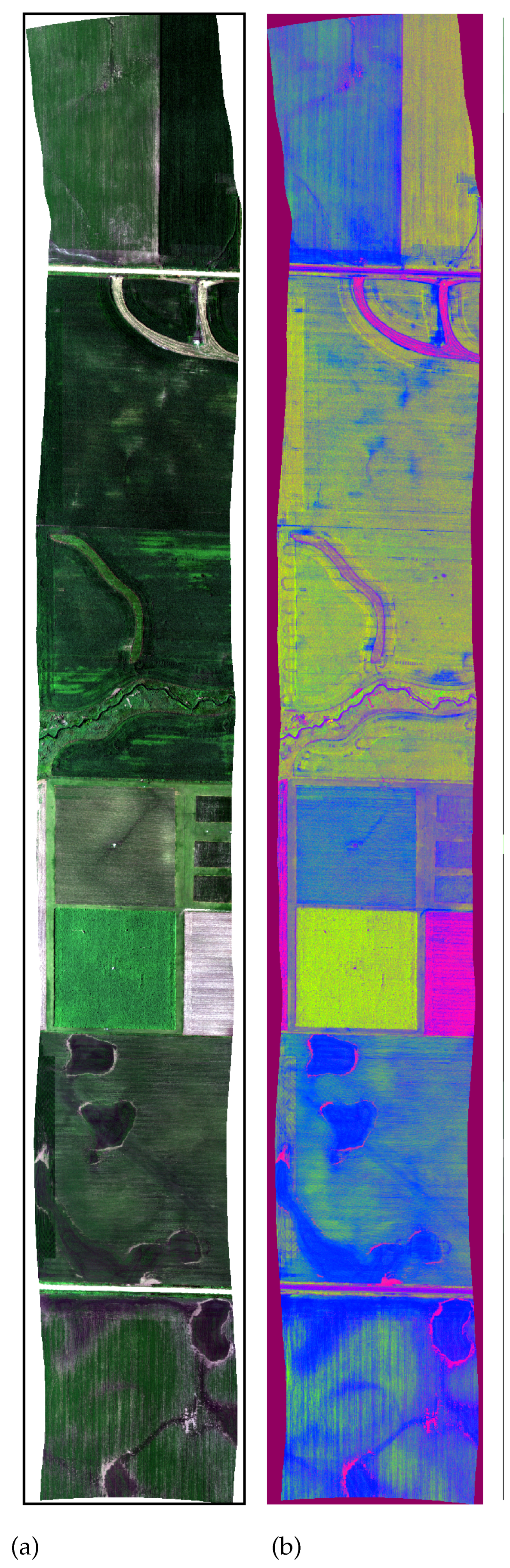 Remotesensing 16 01382 g006