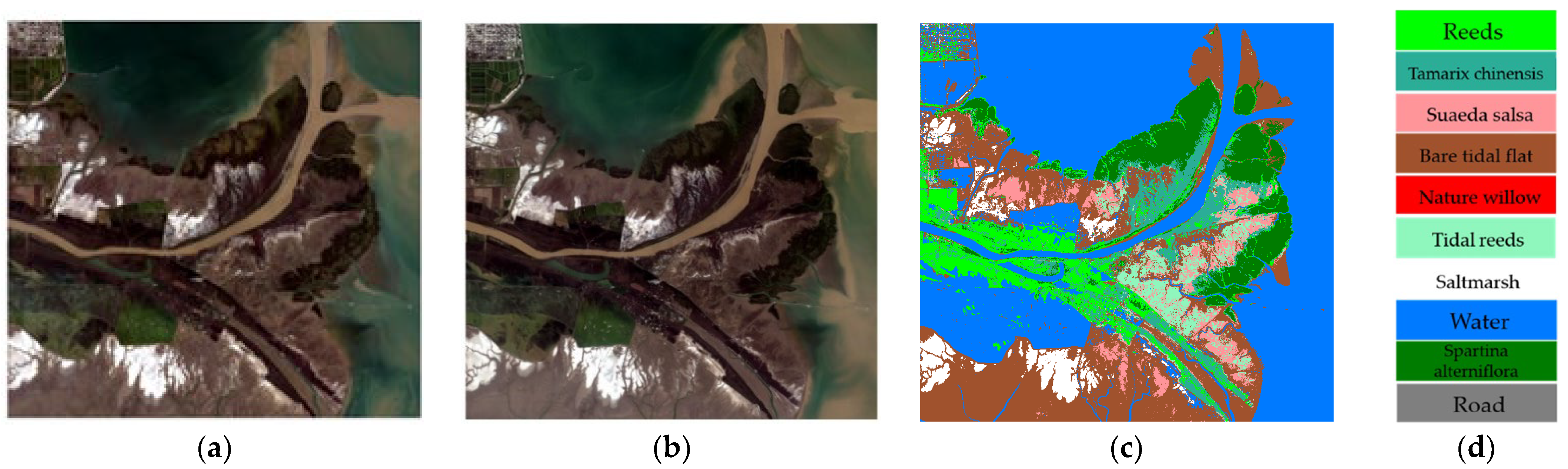 Remotesensing 16 01384 g016