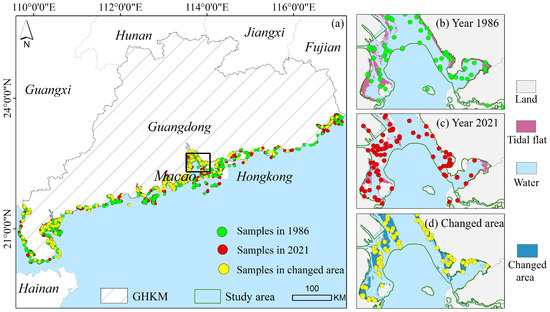 Mapping Annual Tidal Flat Loss and Gain in the Micro-Tidal