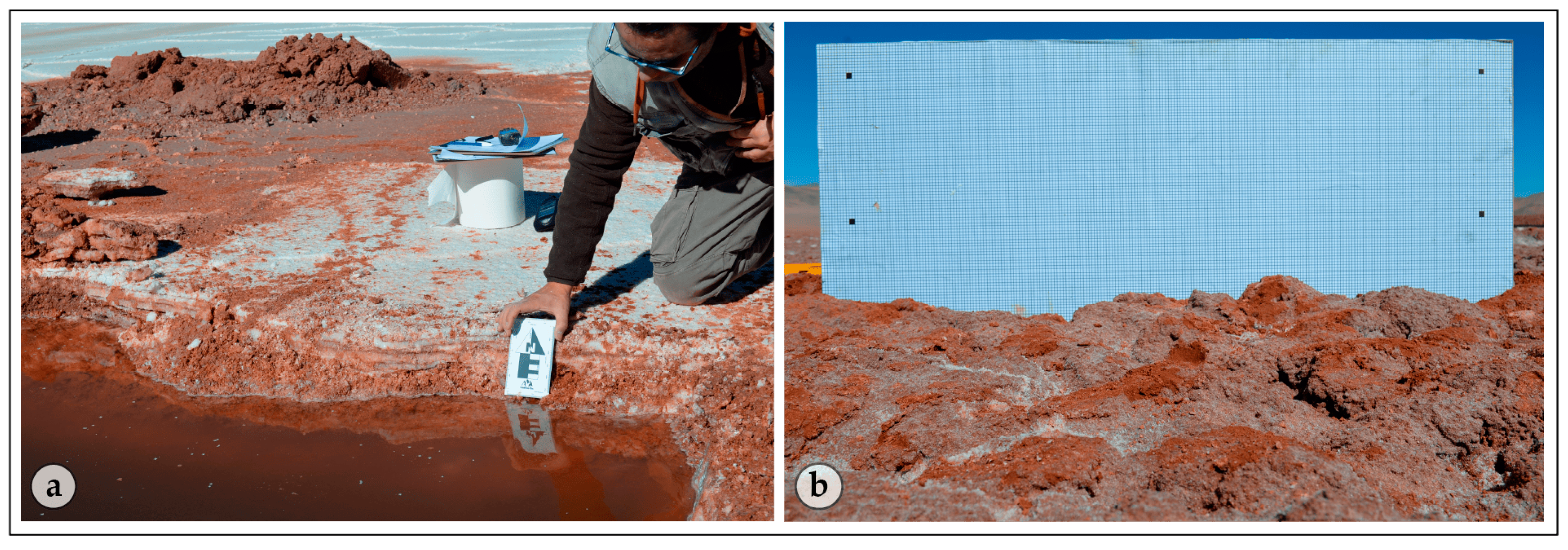 Remotesensing 16 01411 g002