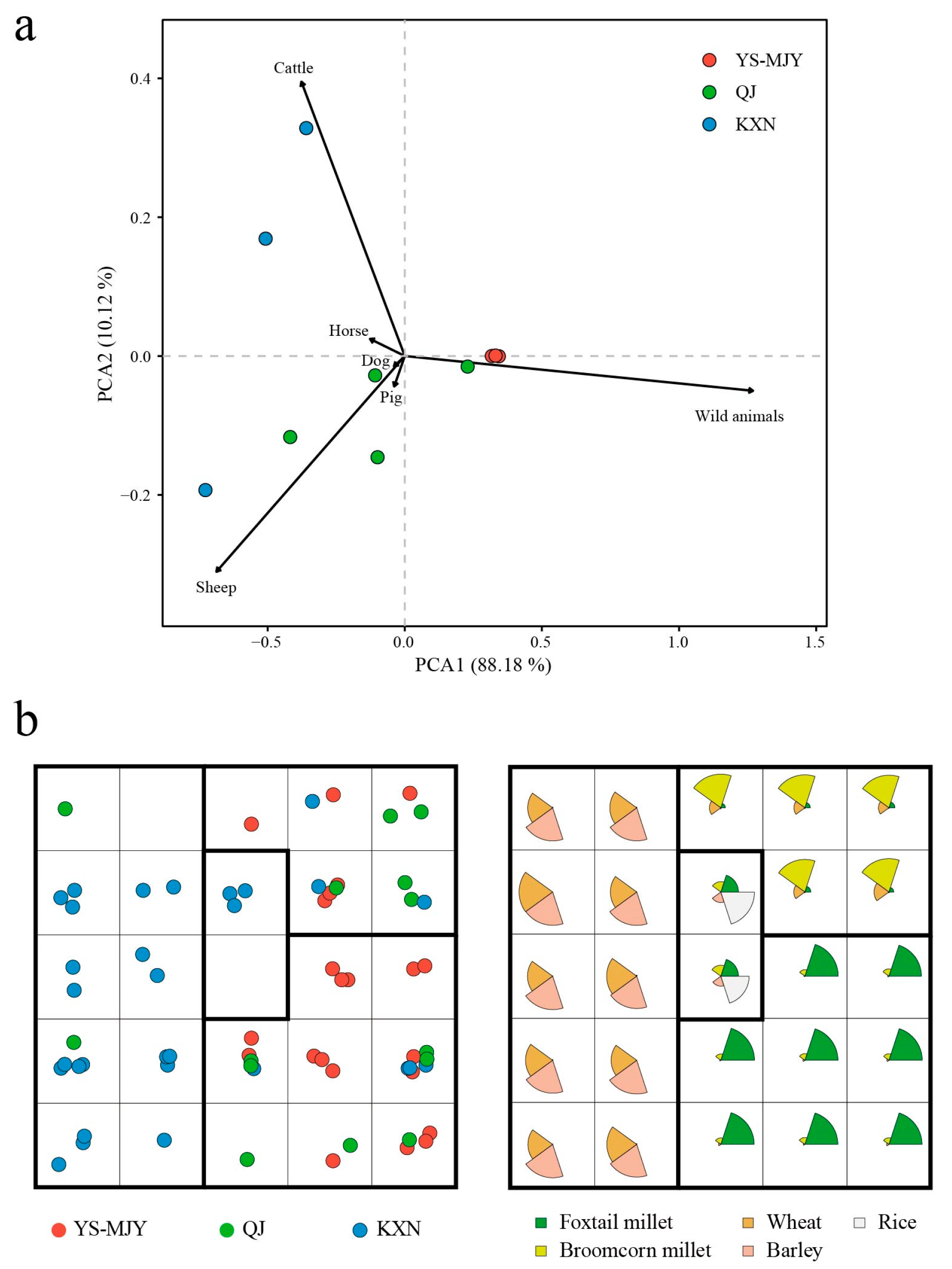 Remotesensing 16 01454 g010