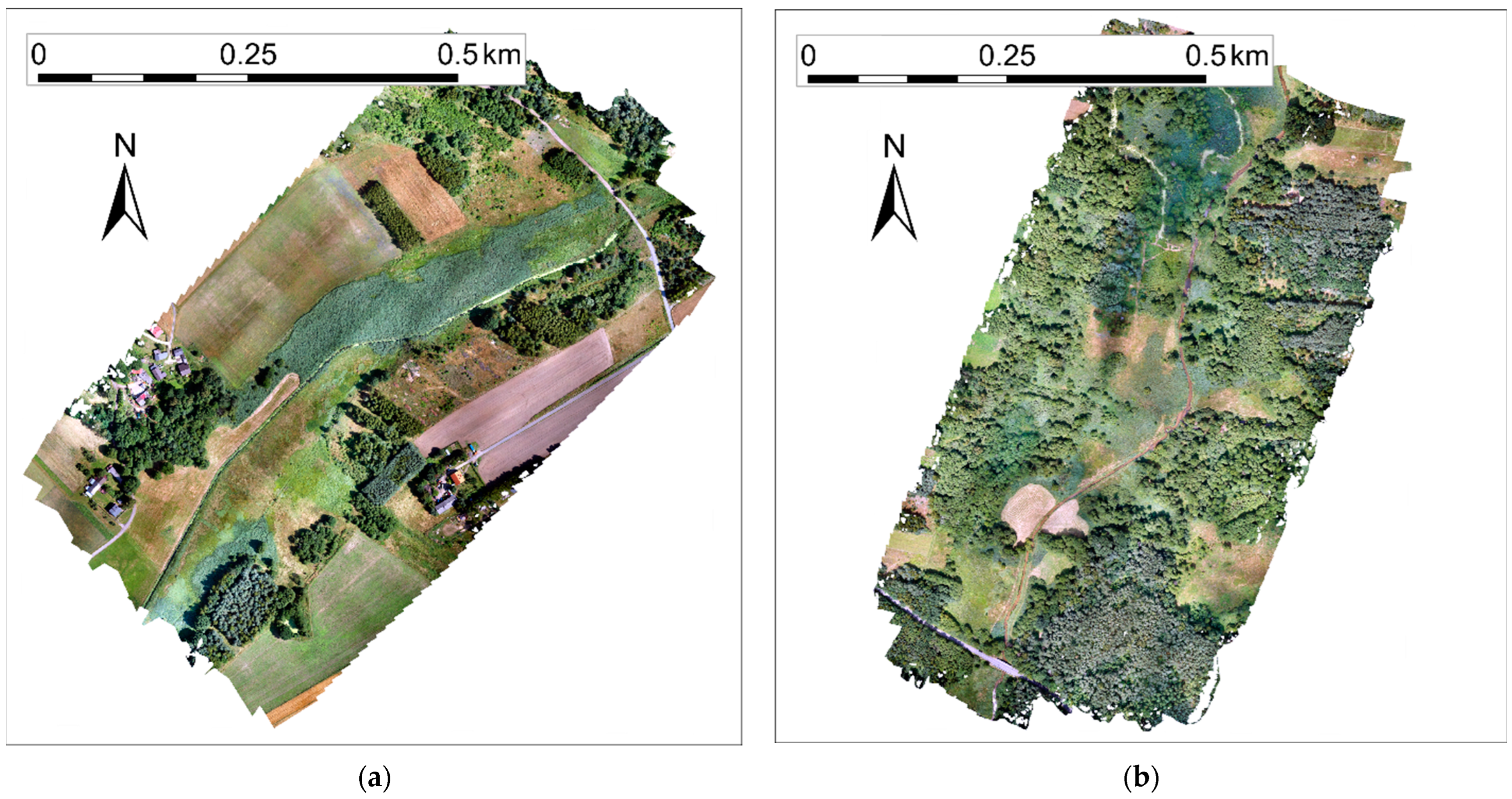 Remotesensing 16 01458 g001