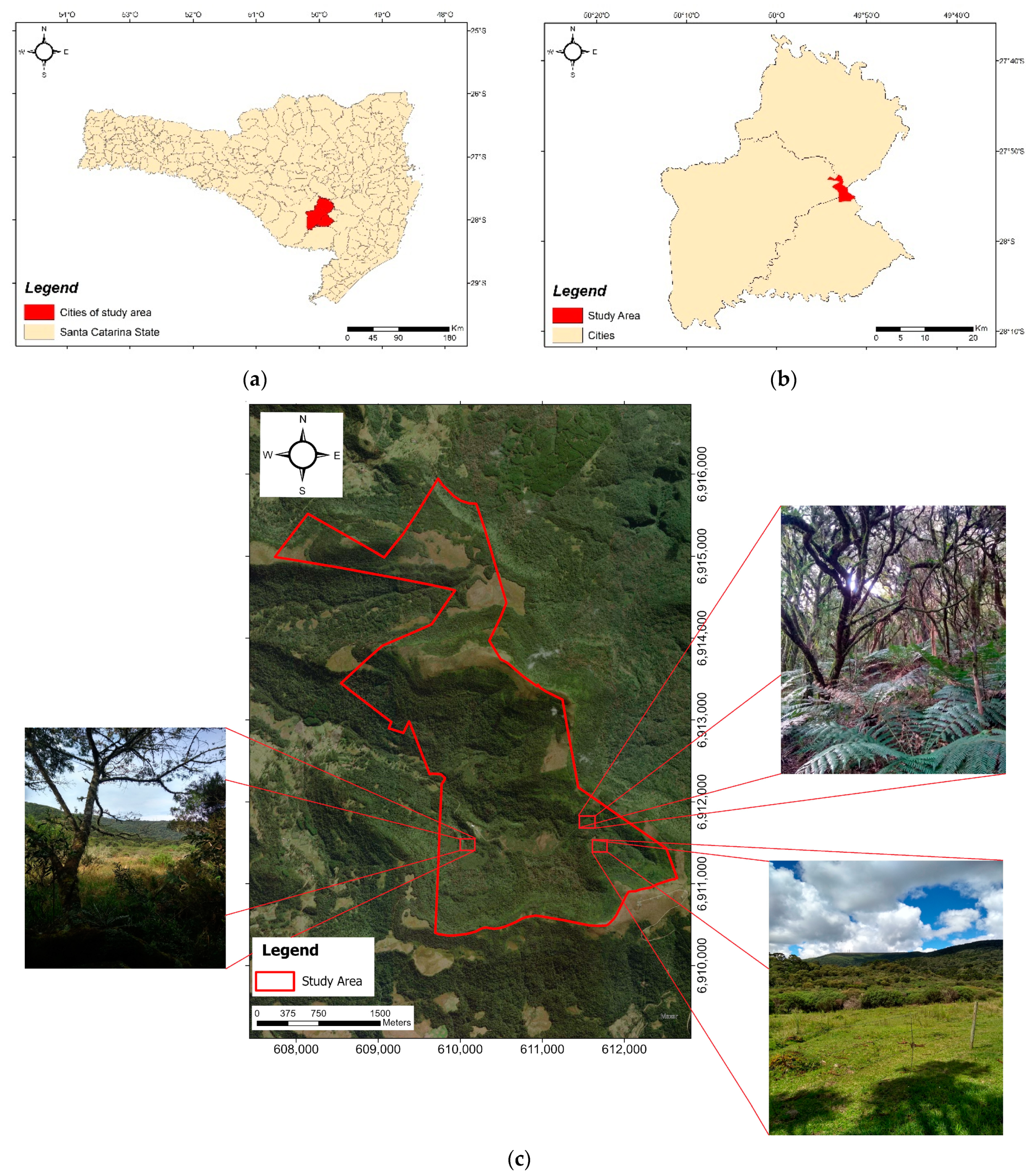 Remotesensing 16 01523 g001