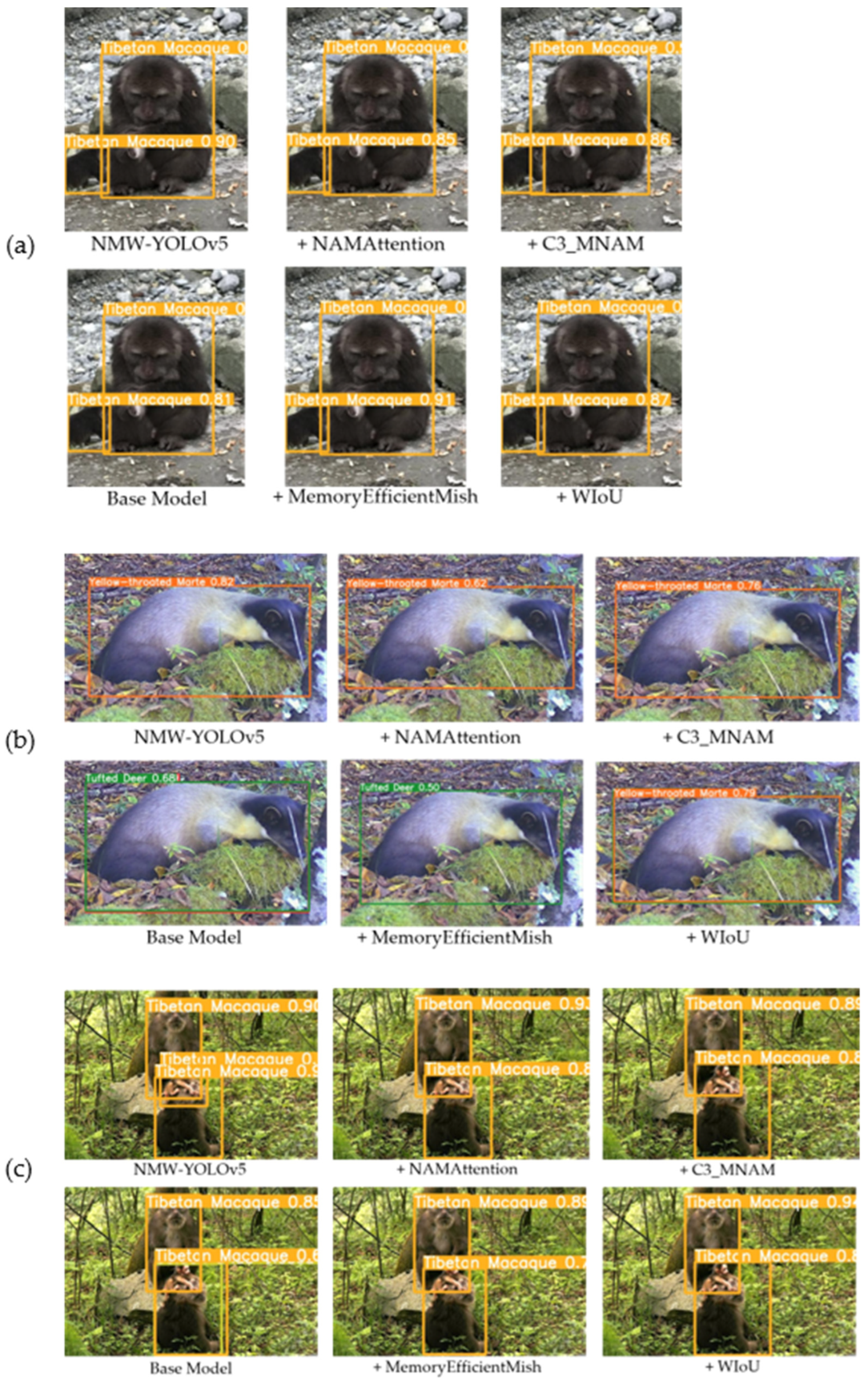 Remotesensing 16 01535 g008