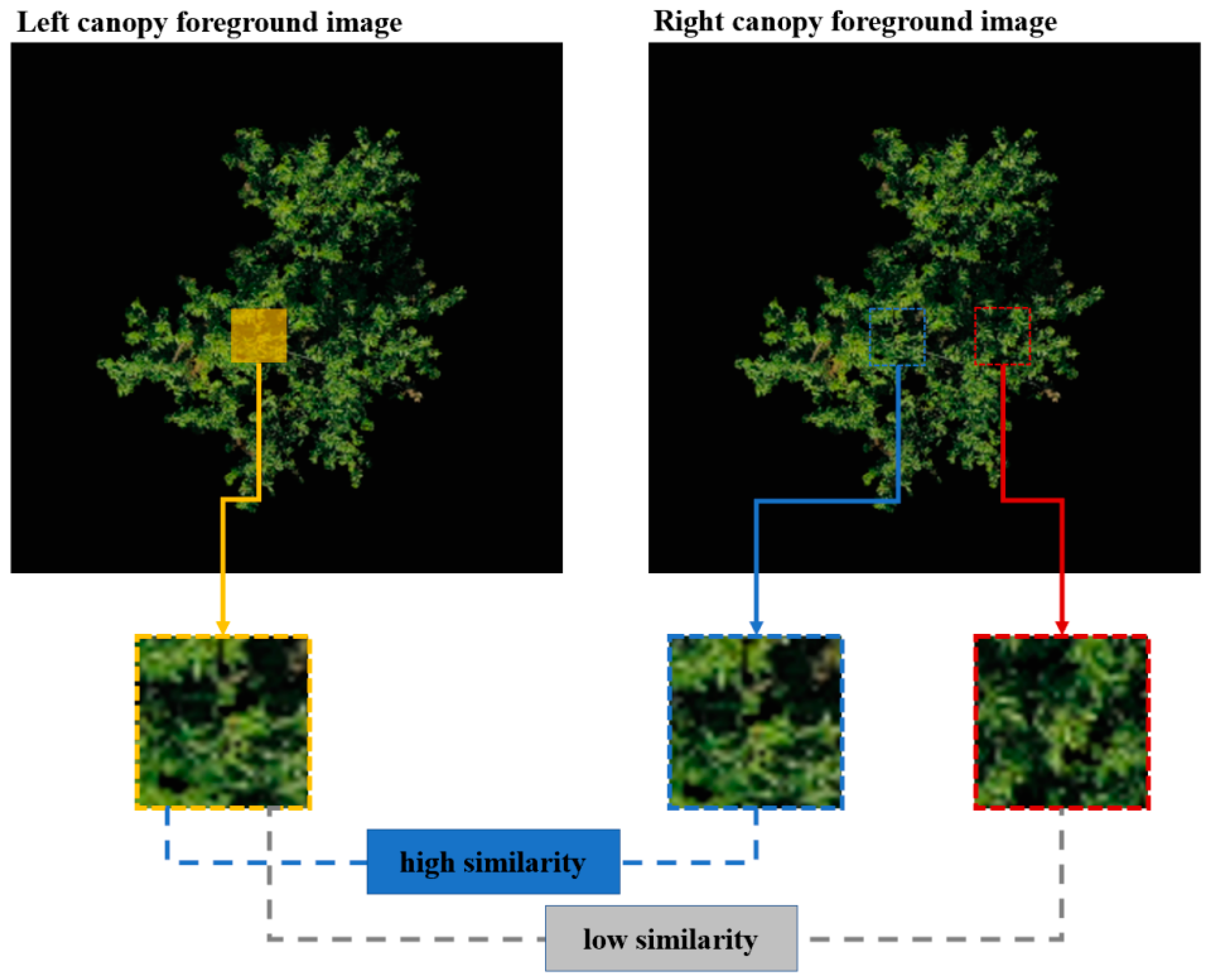 Remotesensing 16 01570 g003