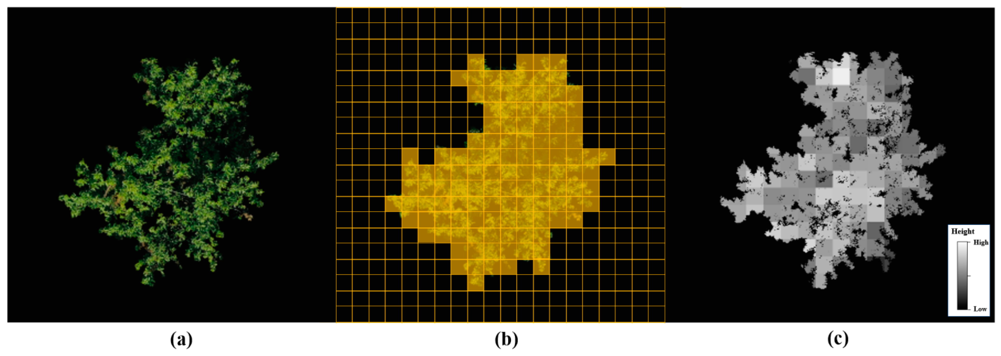 Remotesensing 16 01570 g005
