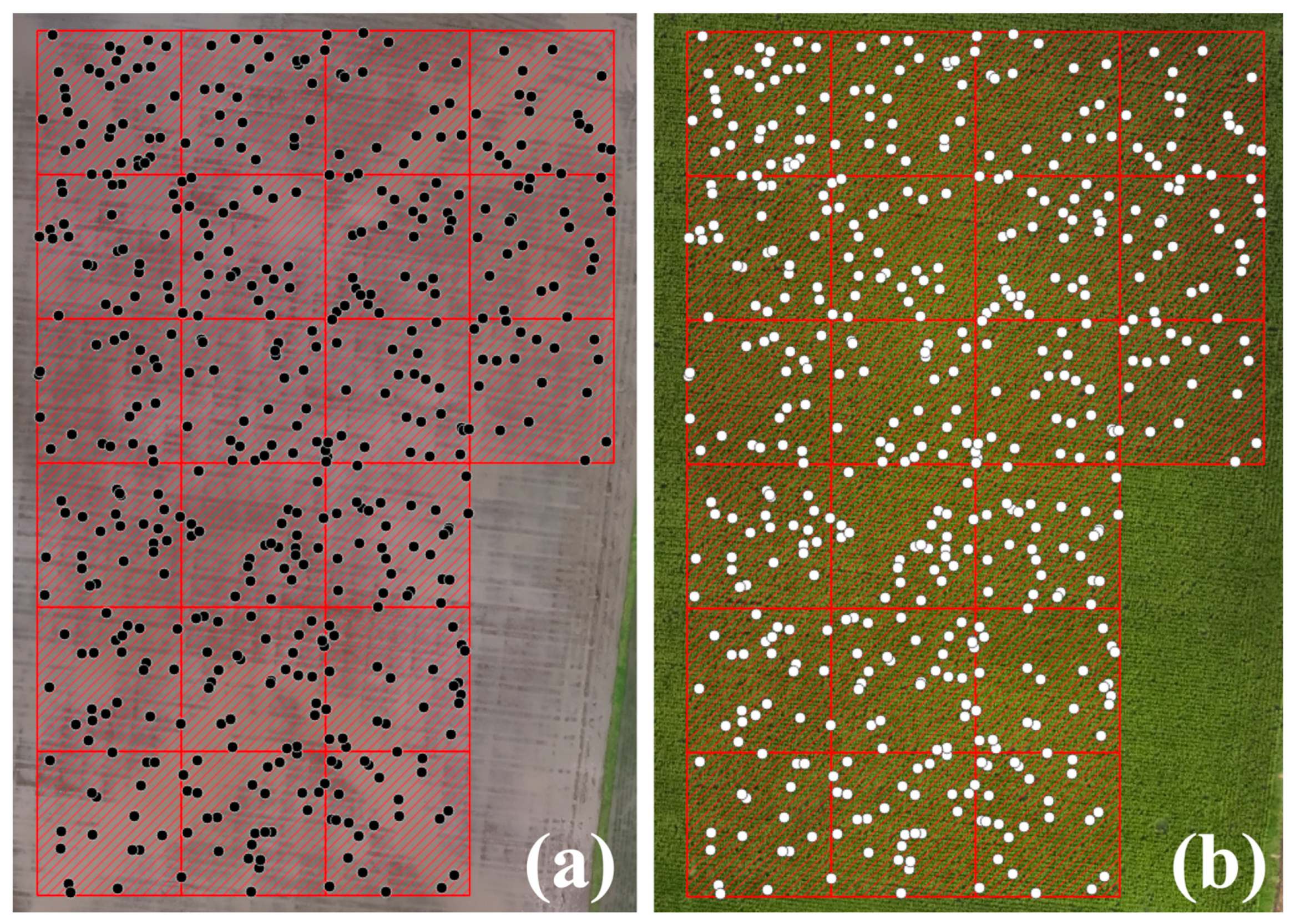 Remotesensing 16 01628 g005