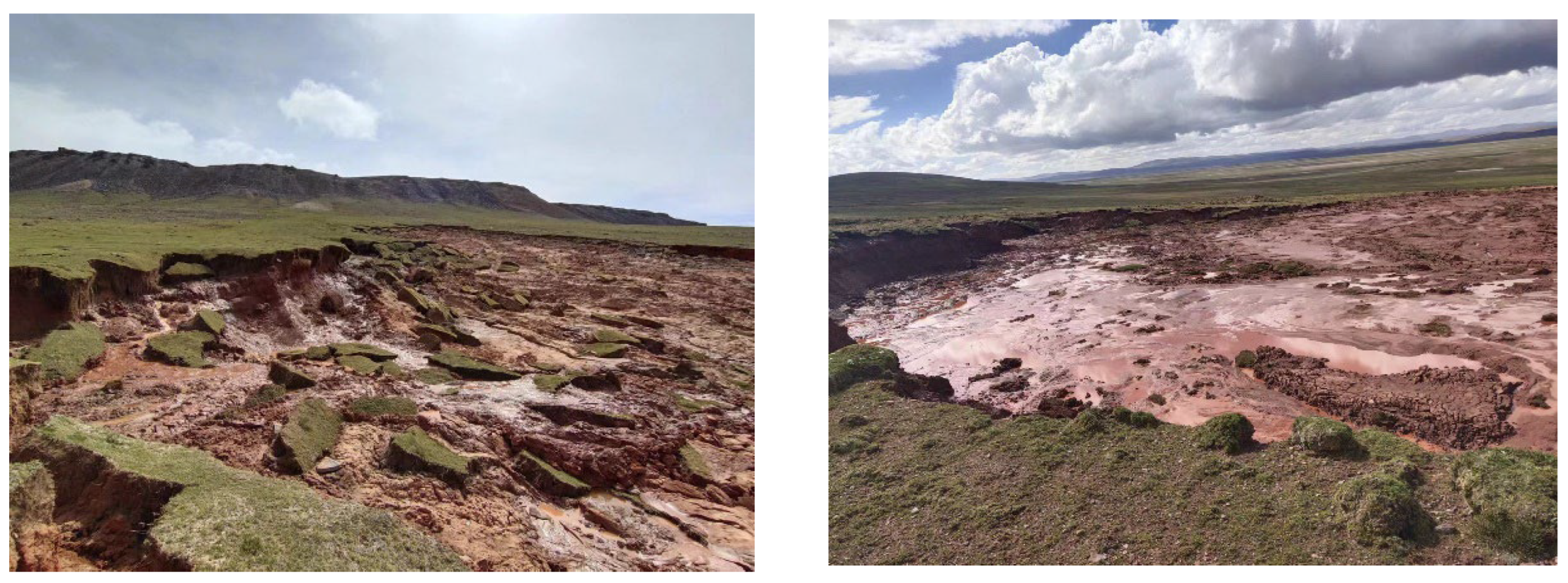 Remotesensing 16 01629 g007