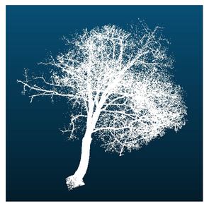 Remotesensing 16 01643 i009