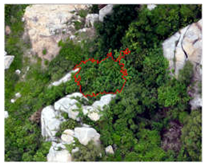 Remotesensing 16 01652 i001