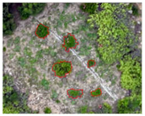 Remotesensing 16 01652 i011