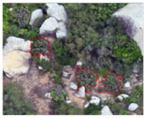 Remotesensing 16 01652 i013