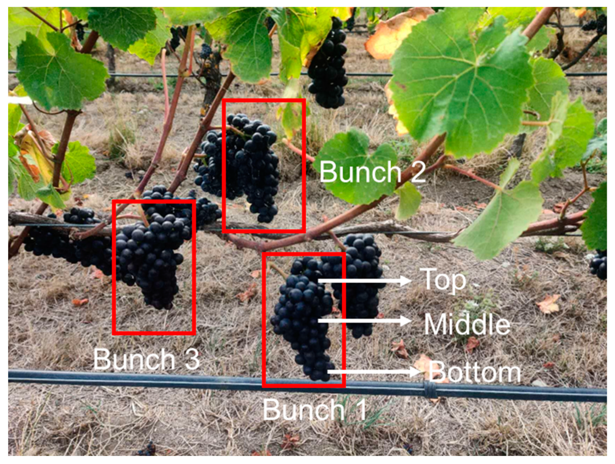 Remotesensing 16 01655 g001