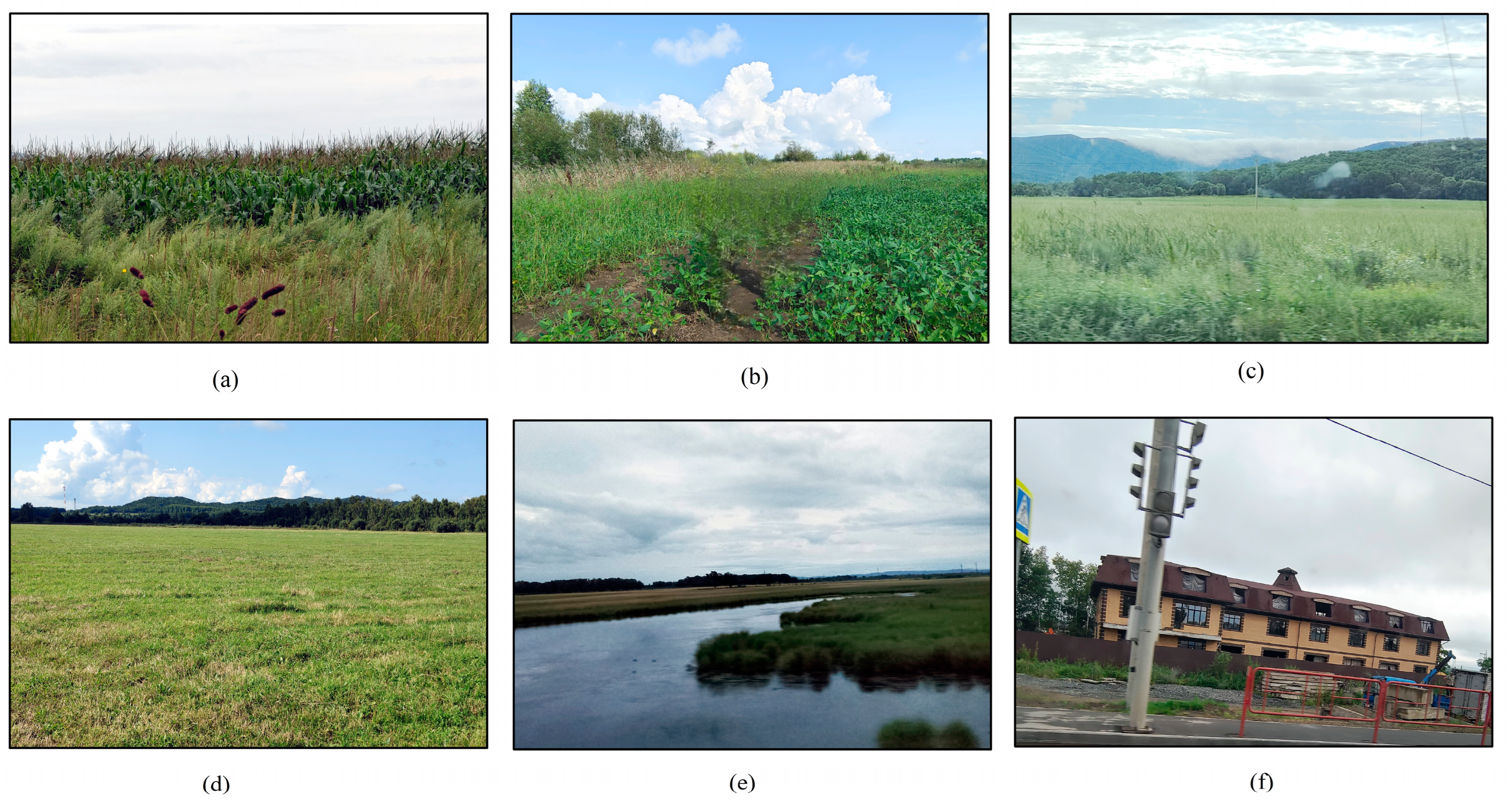 Remotesensing 16 01670 g003