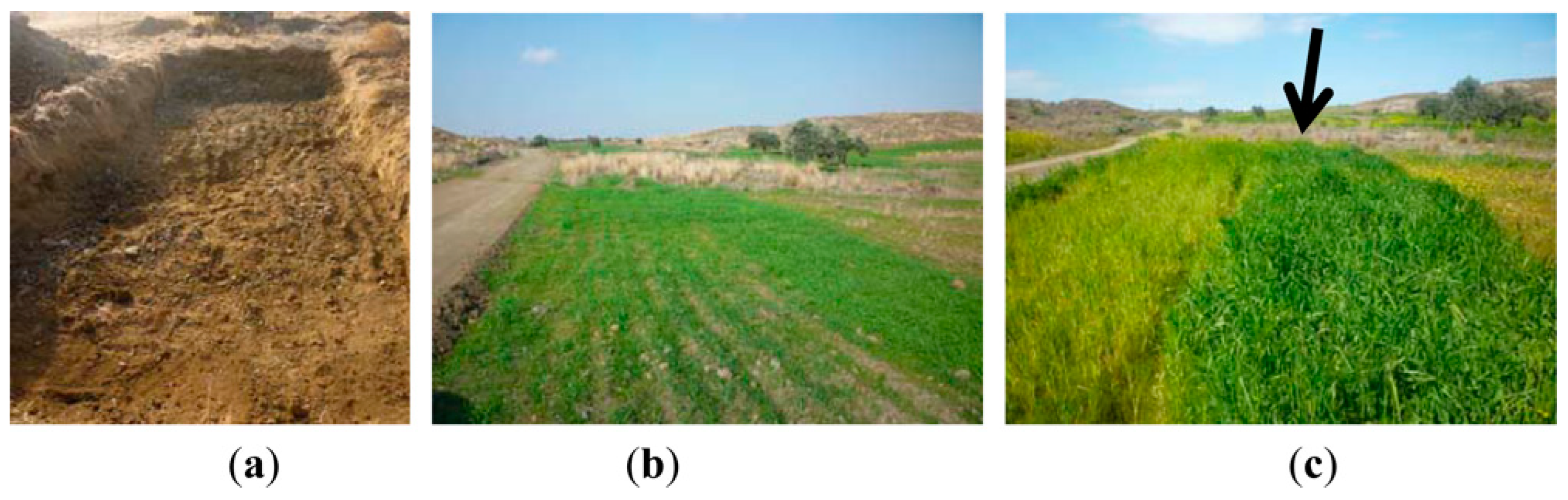 Remotesensing 16 01705 g001