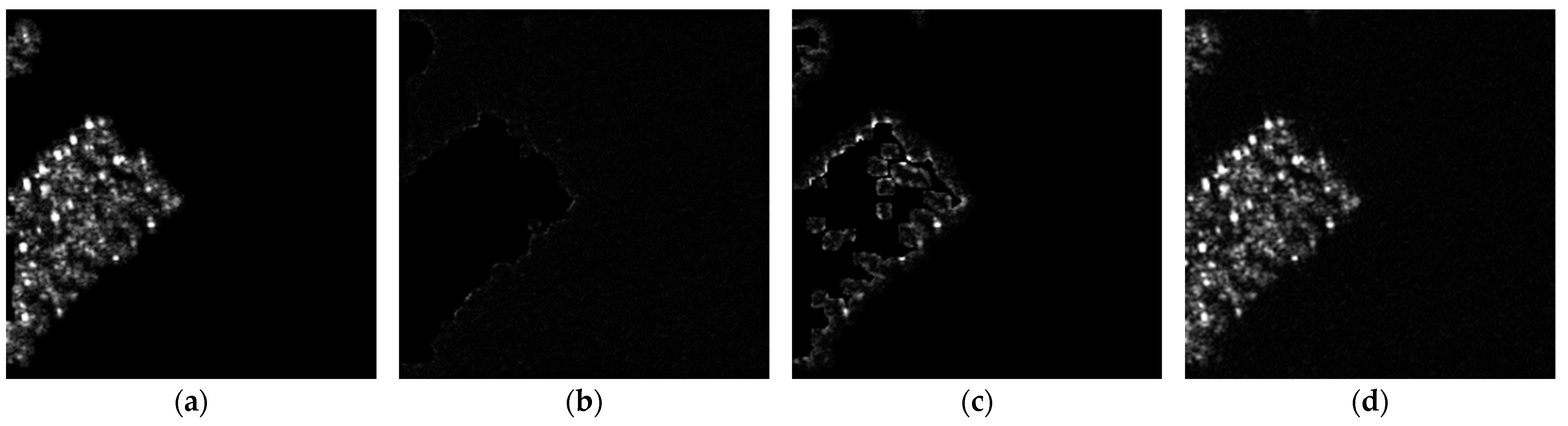 Remotesensing 16 01708 g013