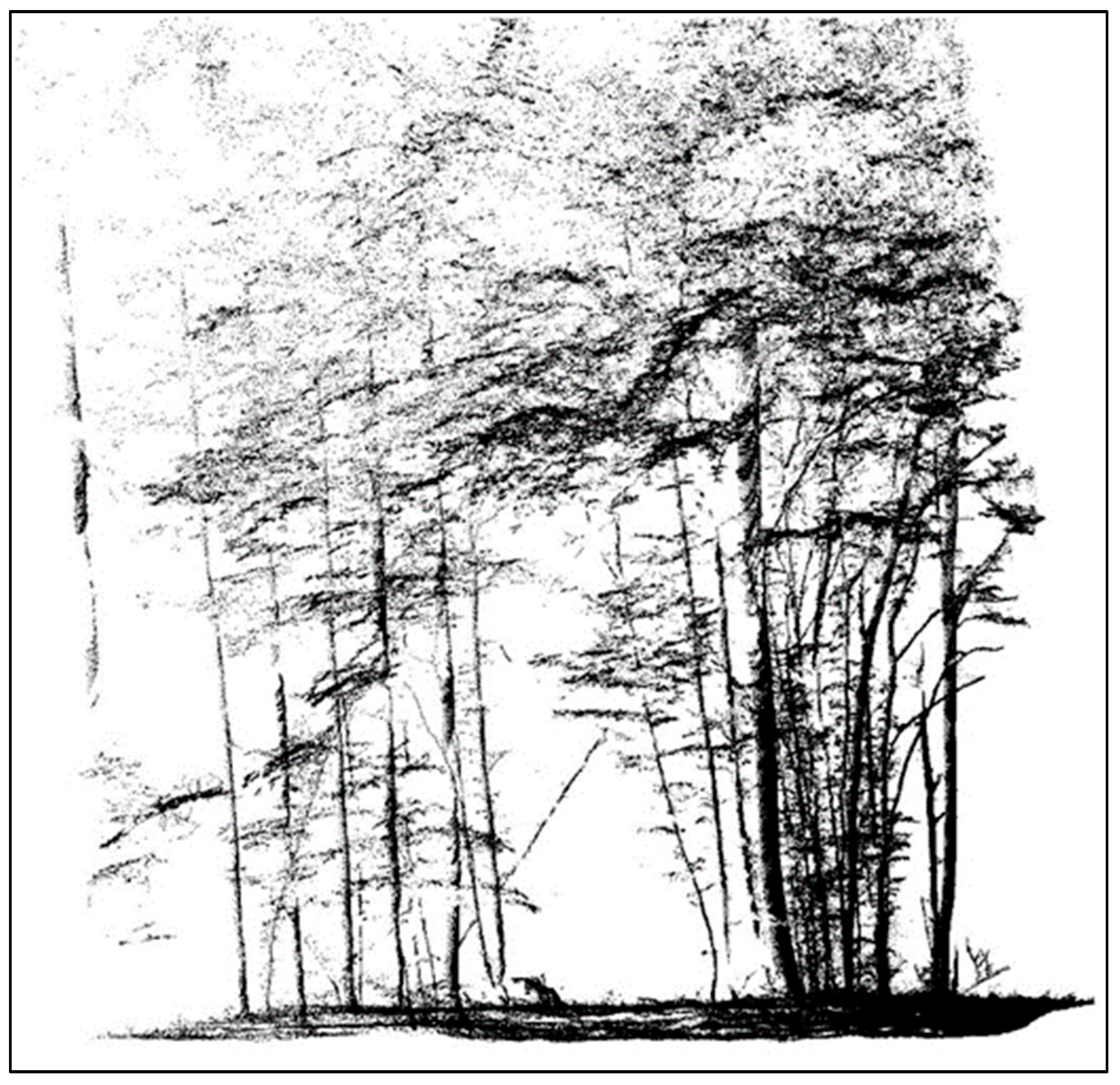 Remotesensing 16 01734 g006a Remotesensing 16 01734 g006a