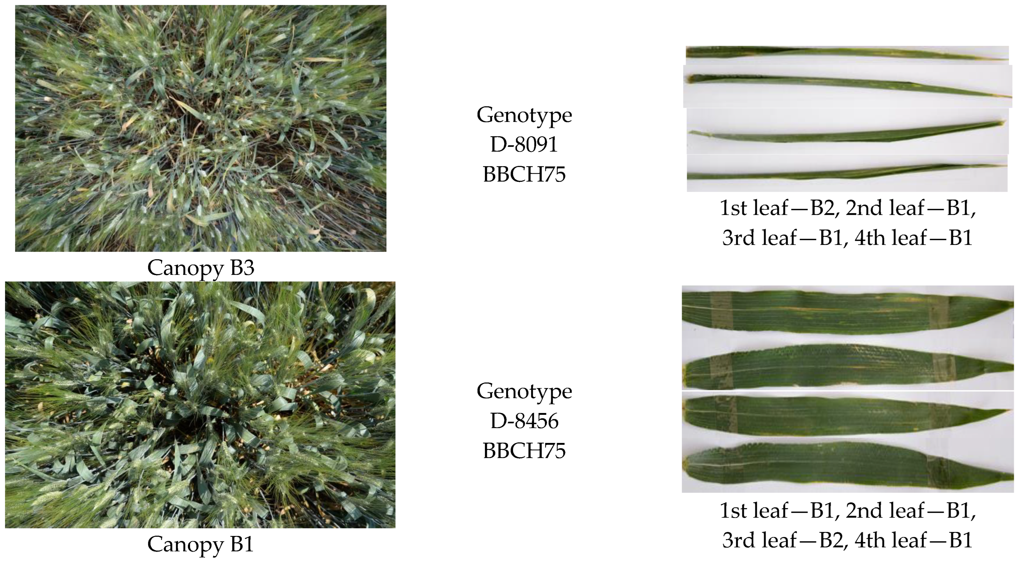 Remotesensing 16 01762 g004b