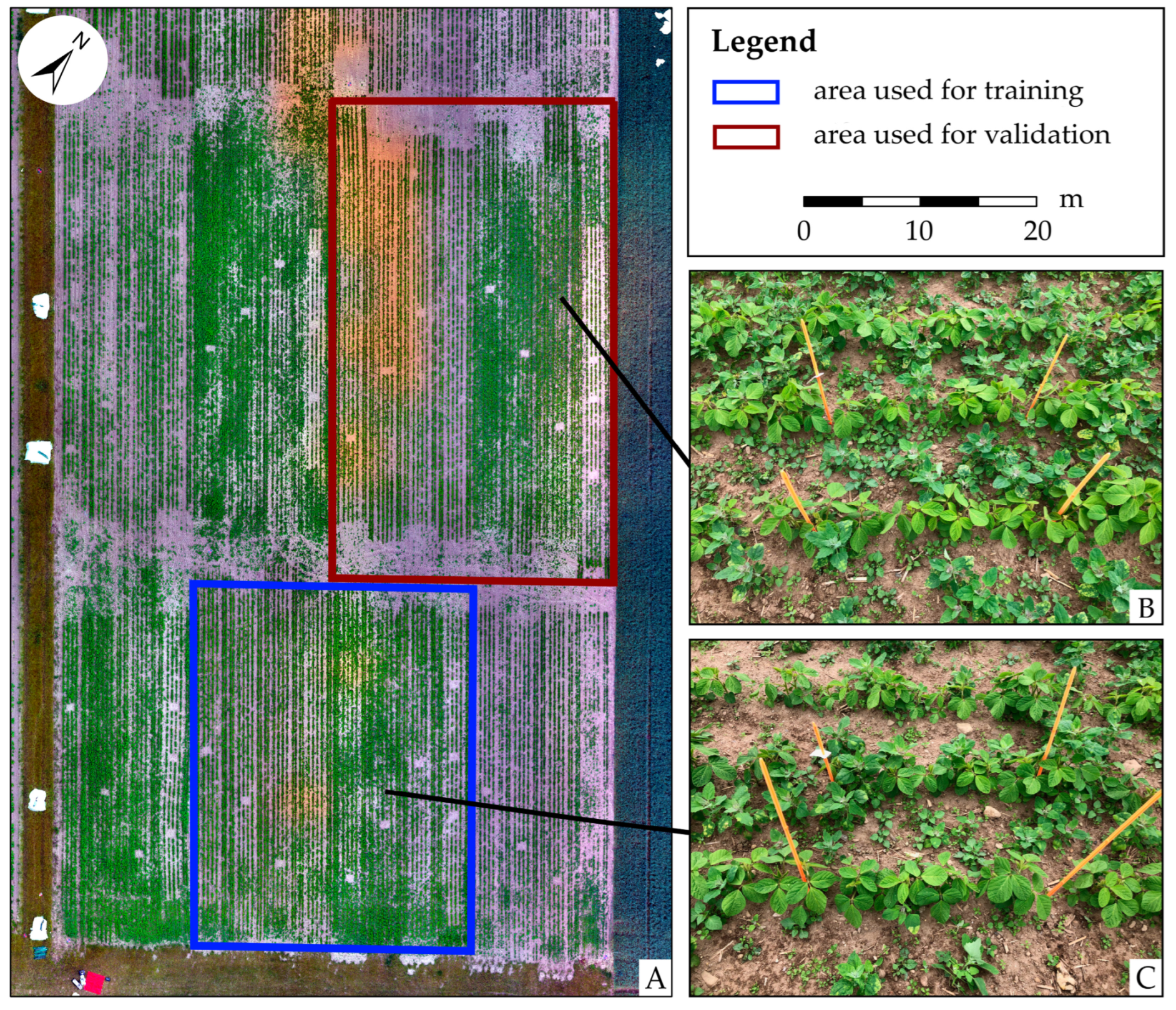 Remotesensing 16 01778 g001