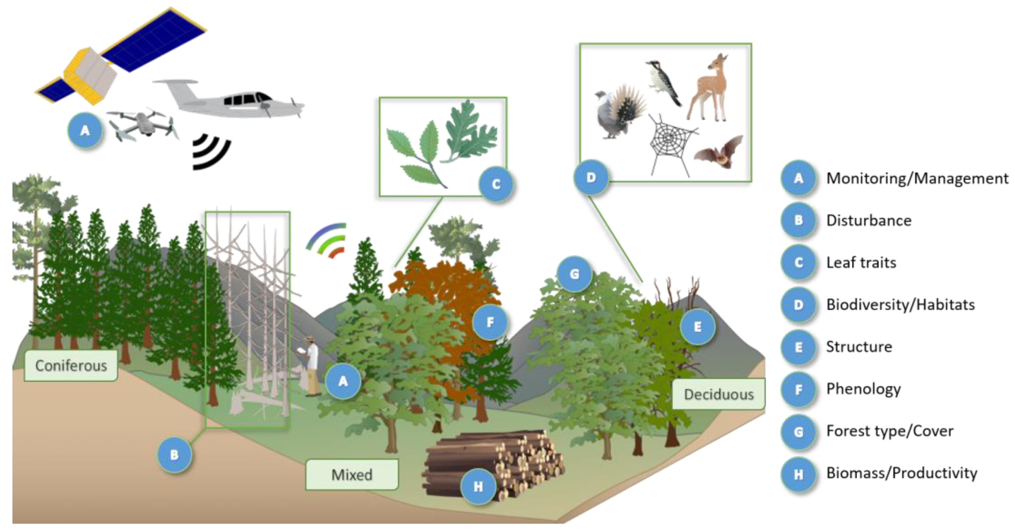 Remotesensing 16 01805 g002