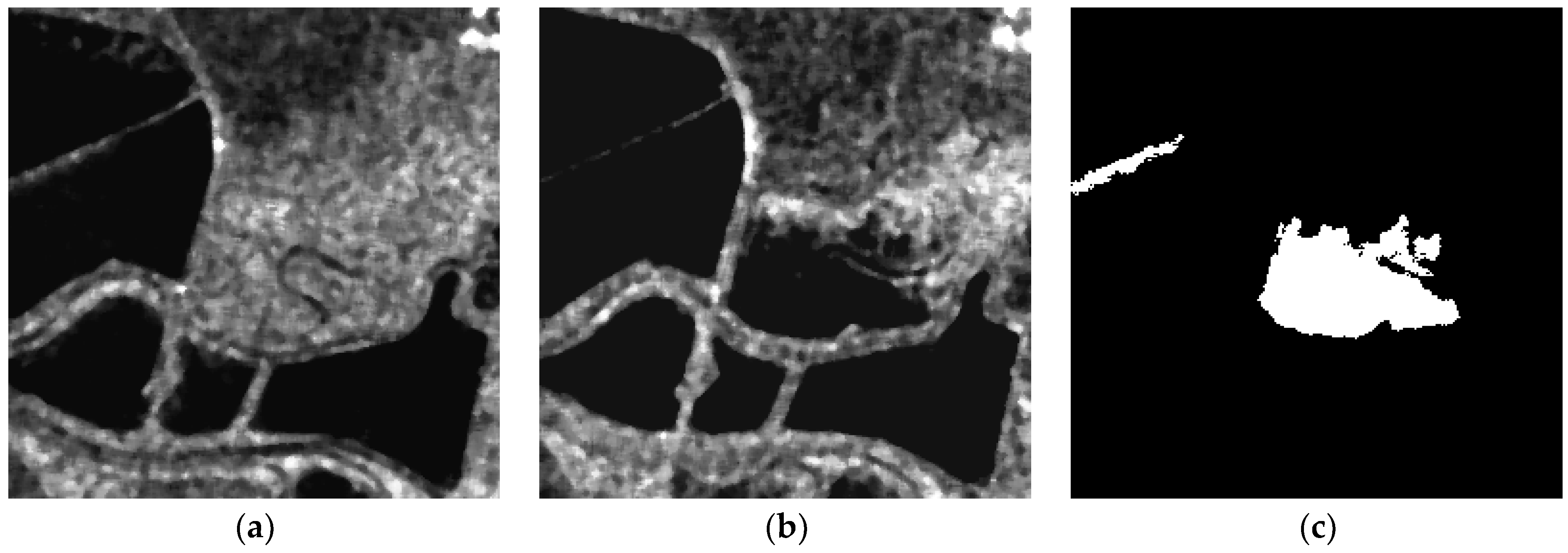 Remotesensing 16 01861 g006
