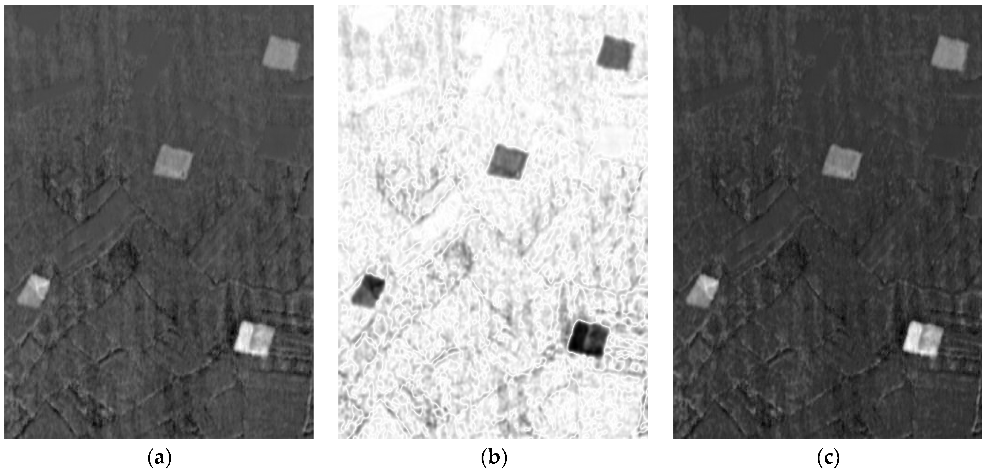 Remotesensing 16 01861 g010