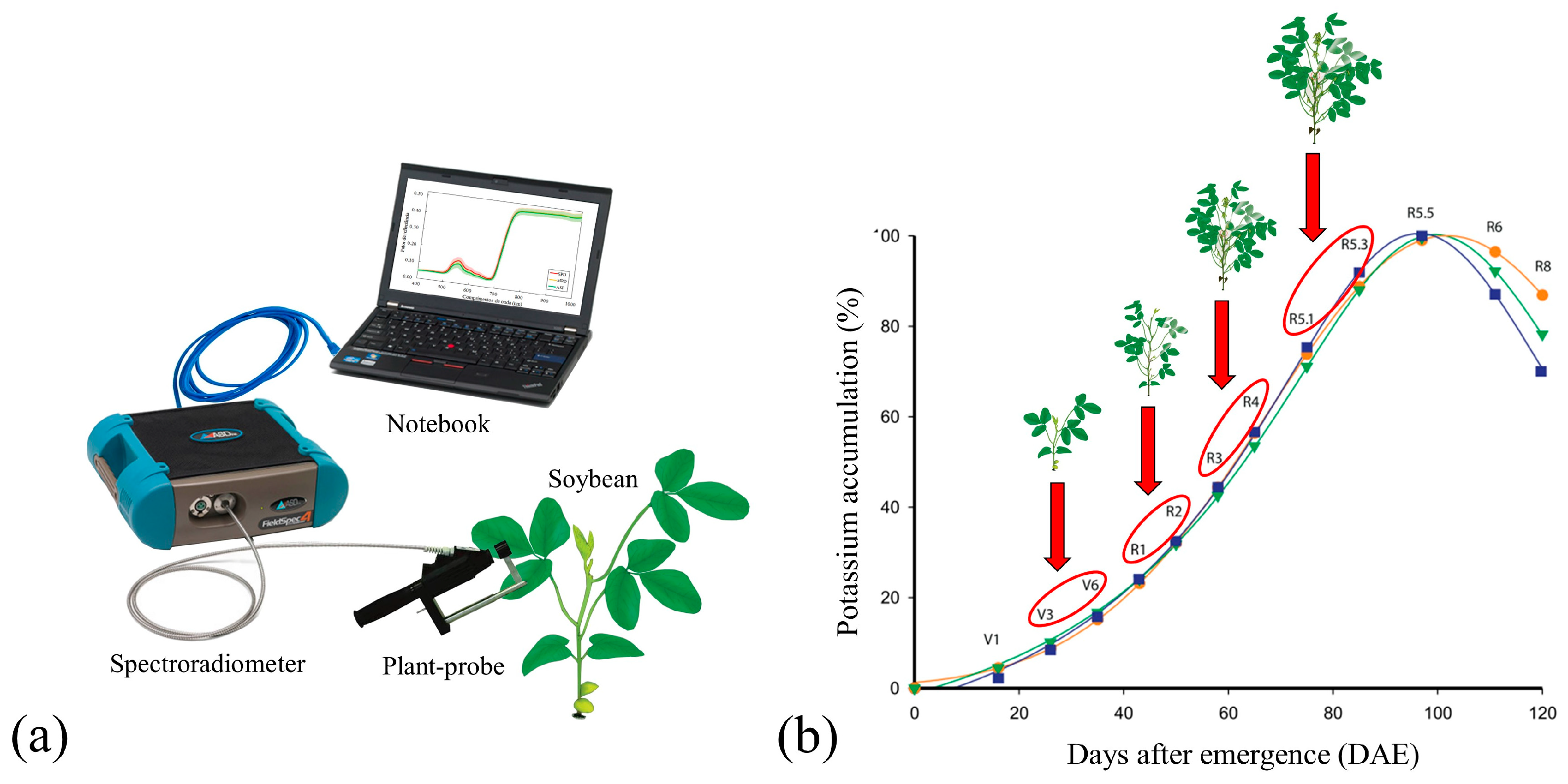Remotesensing 16 01900 g002