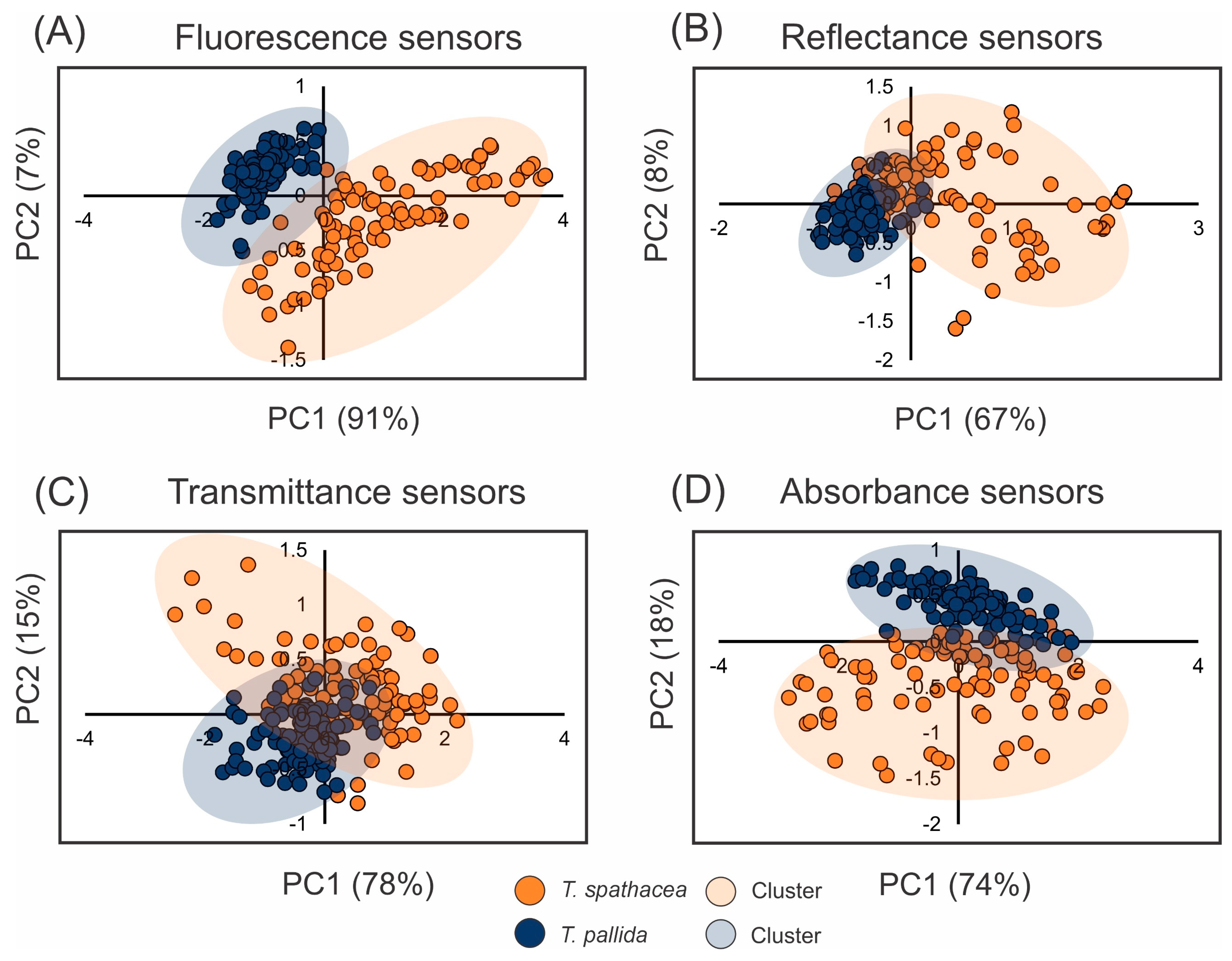 Remotesensing 16 01910 g004