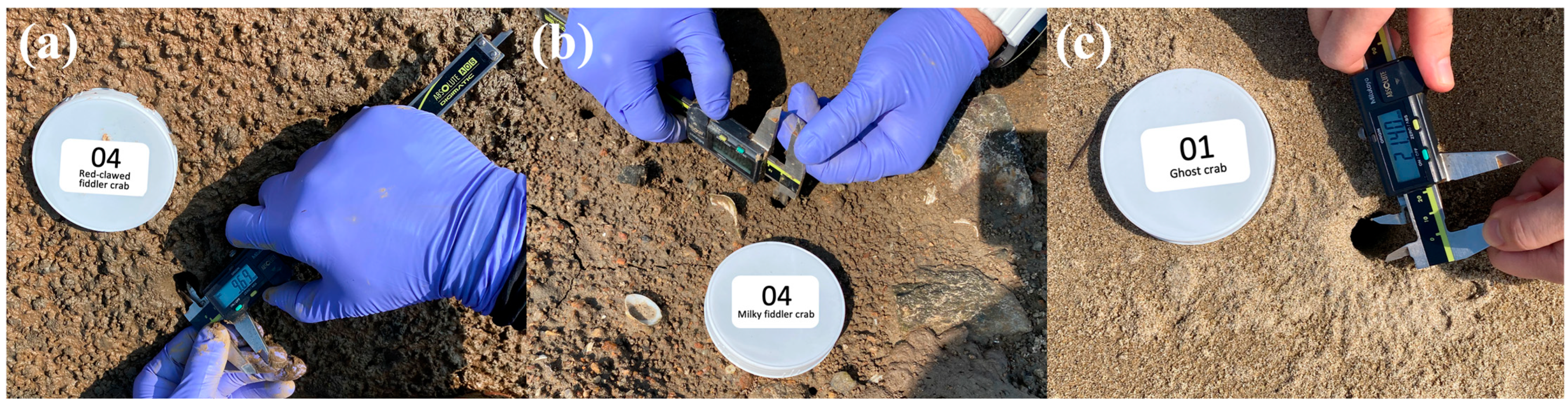 Remotesensing 16 01941 g004