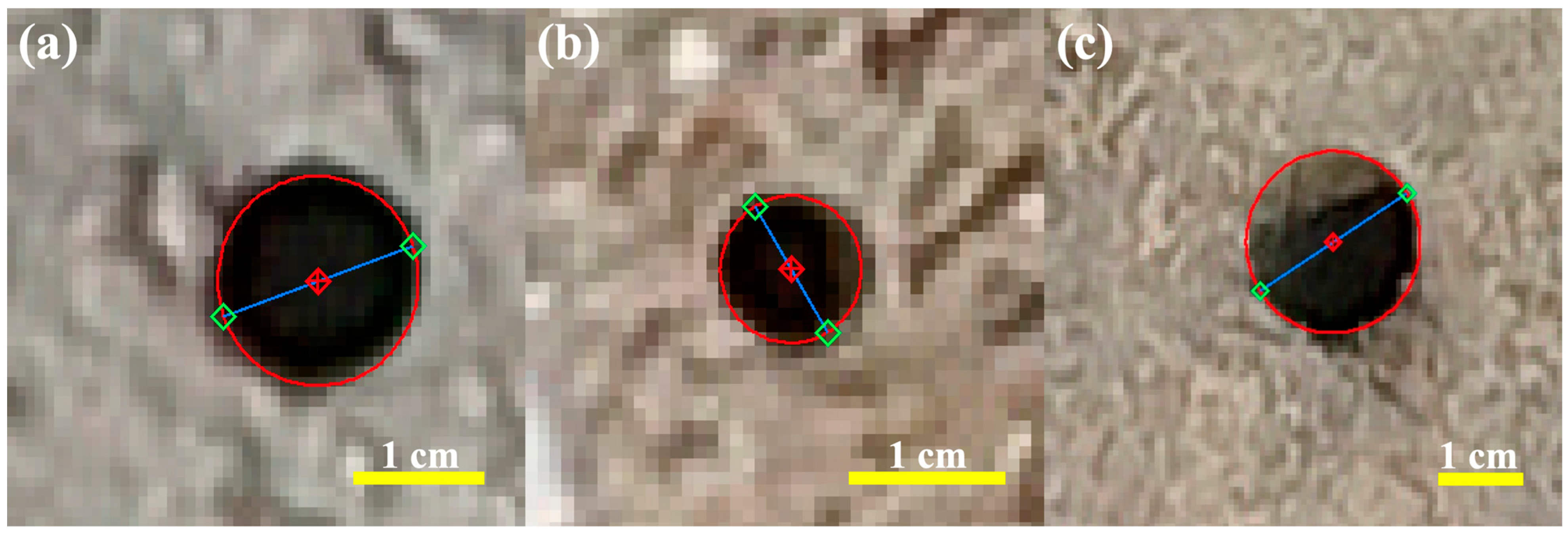 Remotesensing 16 01941 g007