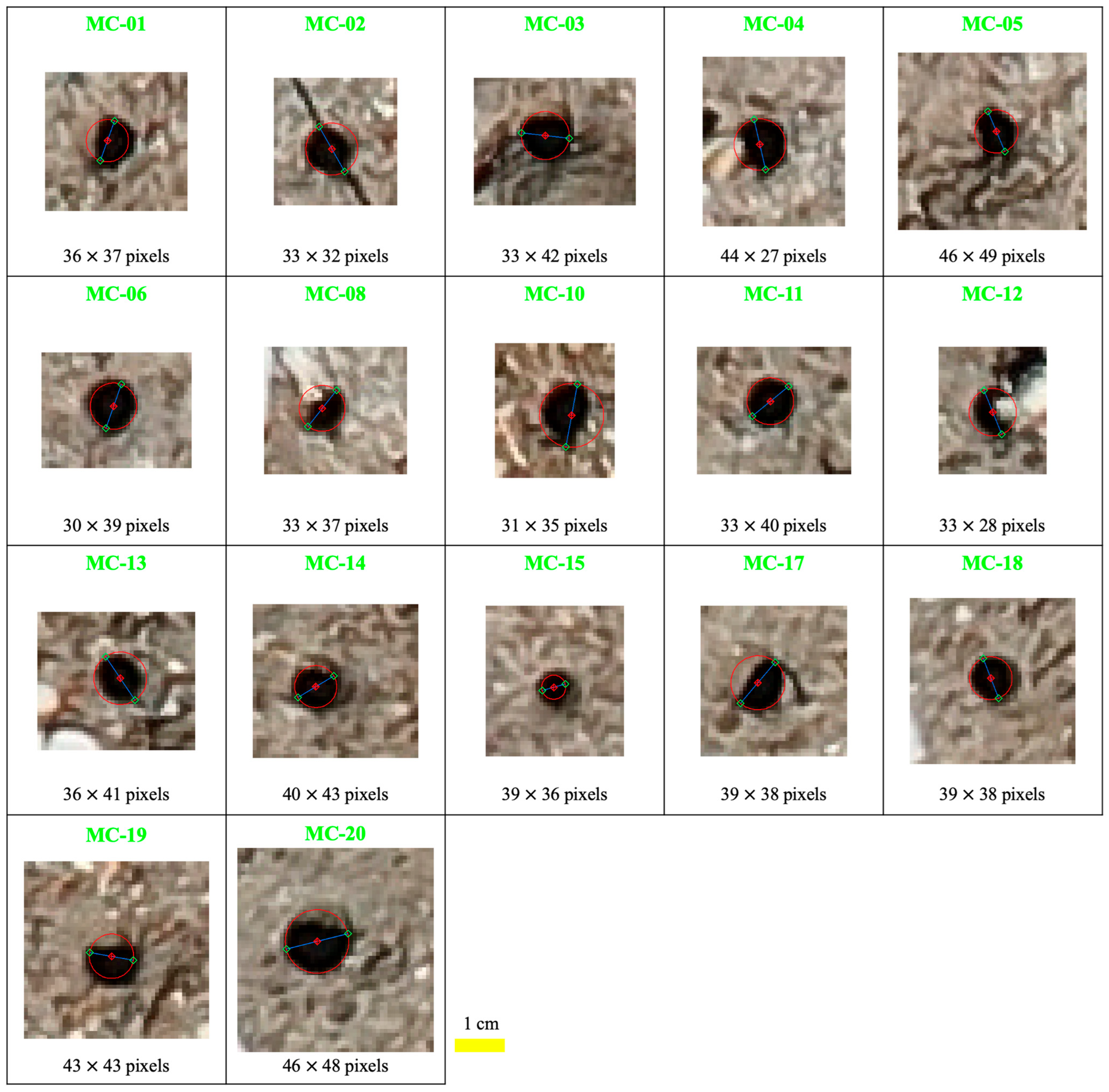 Remotesensing 16 01941 g009