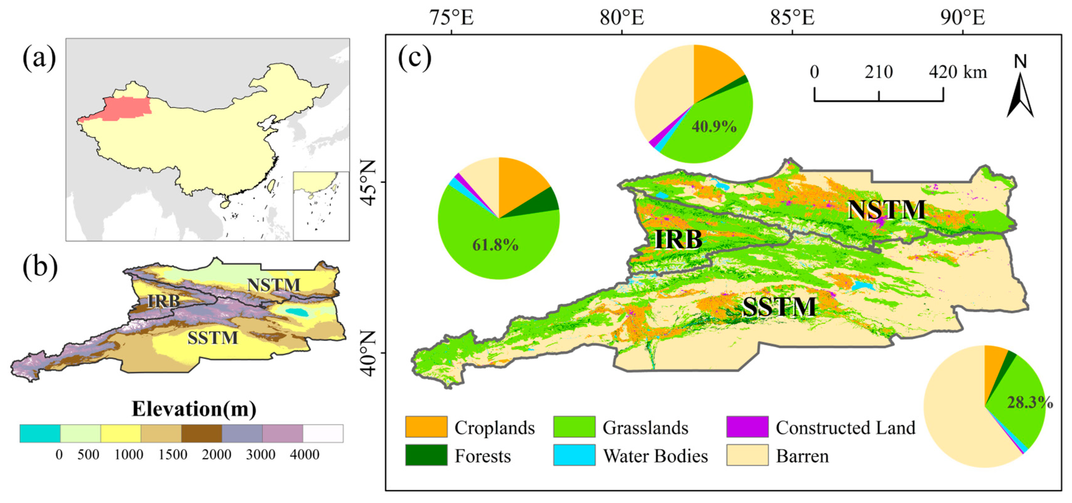 Remotesensing 16 01952 g001