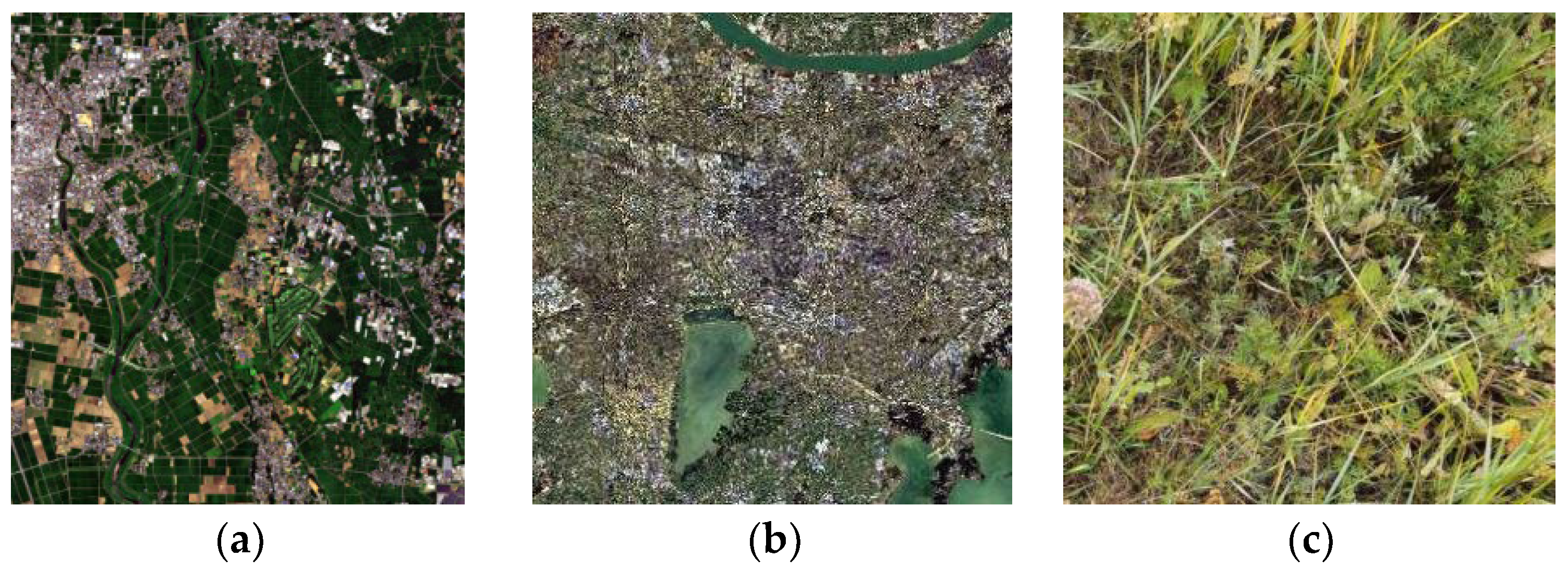 Remotesensing 16 01957 g002a