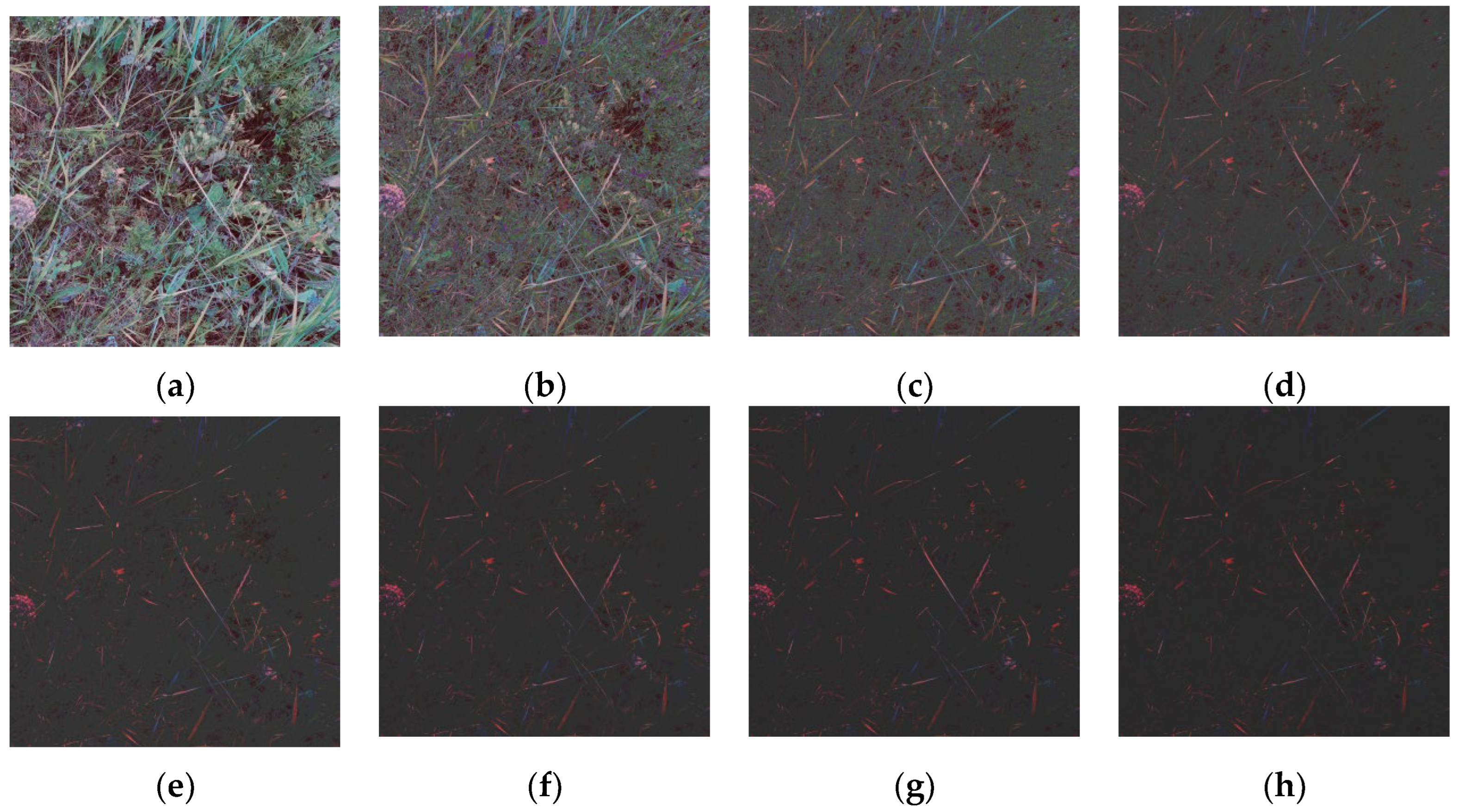 Remotesensing 16 01957 g014