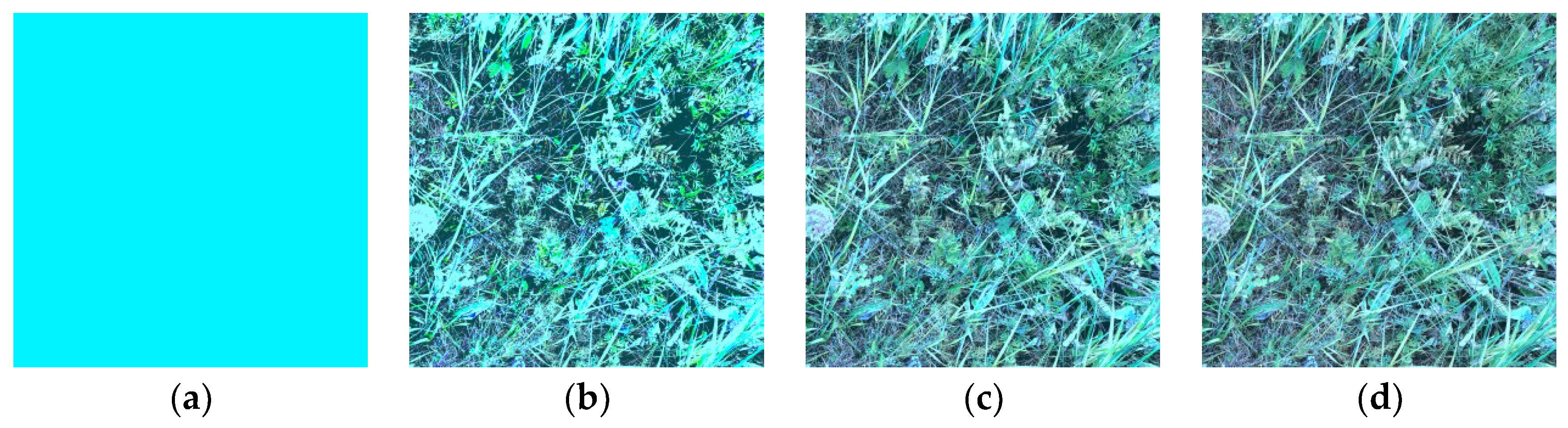 Remotesensing 16 01957 g015a