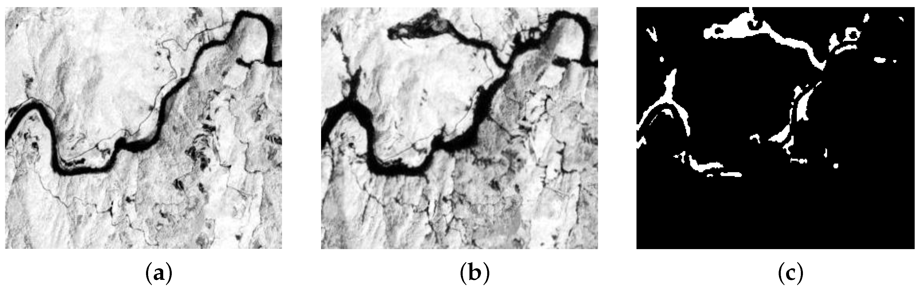 Remotesensing 16 01961 g003