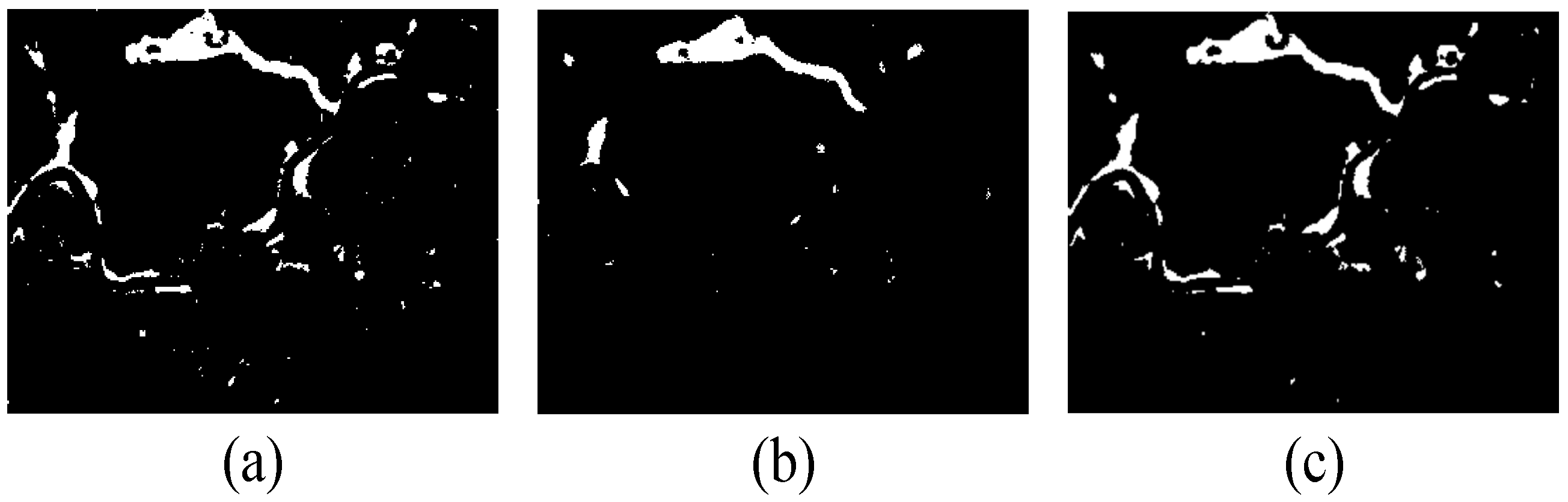 Remotesensing 16 01961 g012