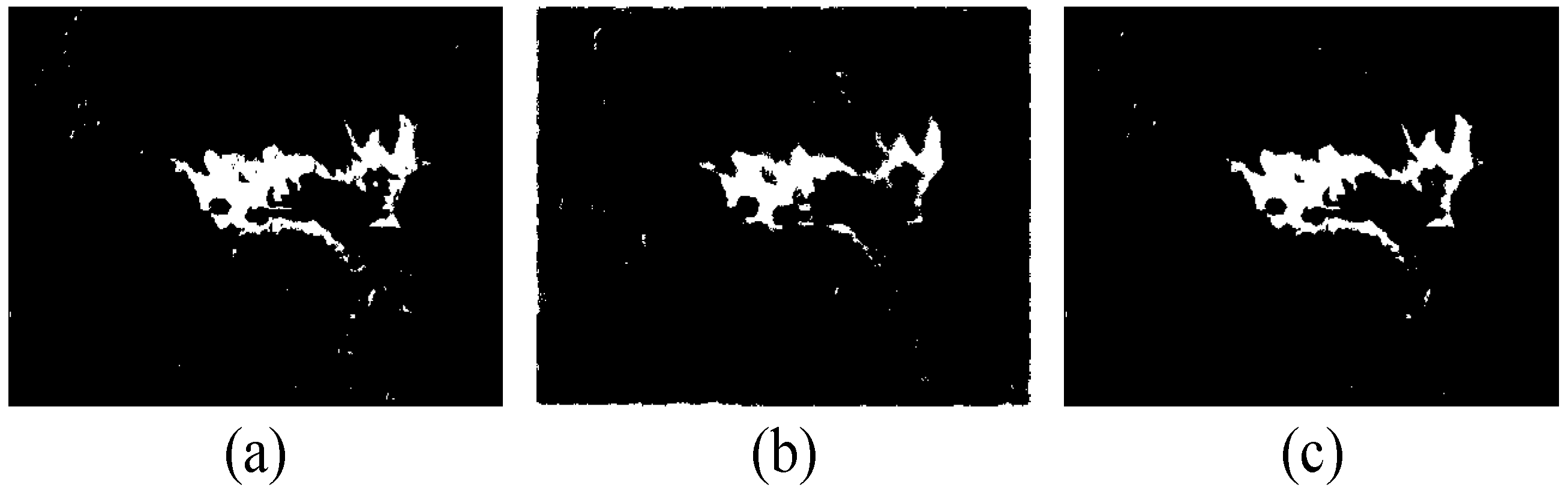 Remotesensing 16 01961 g014