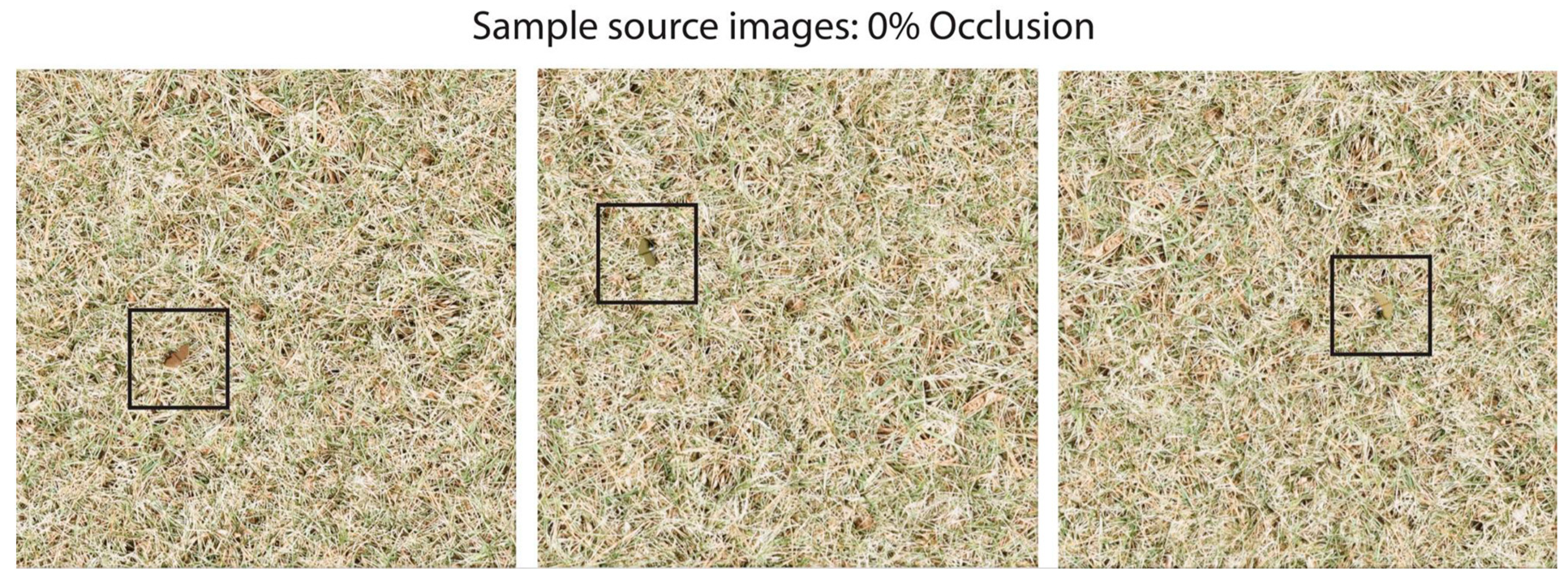 Remotesensing 16 02046 g002