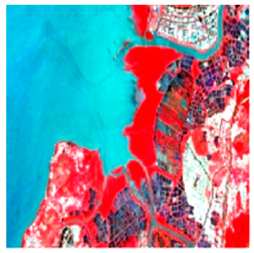 Remotesensing 16 02076 i004 Remotesensing 16 02076 i004