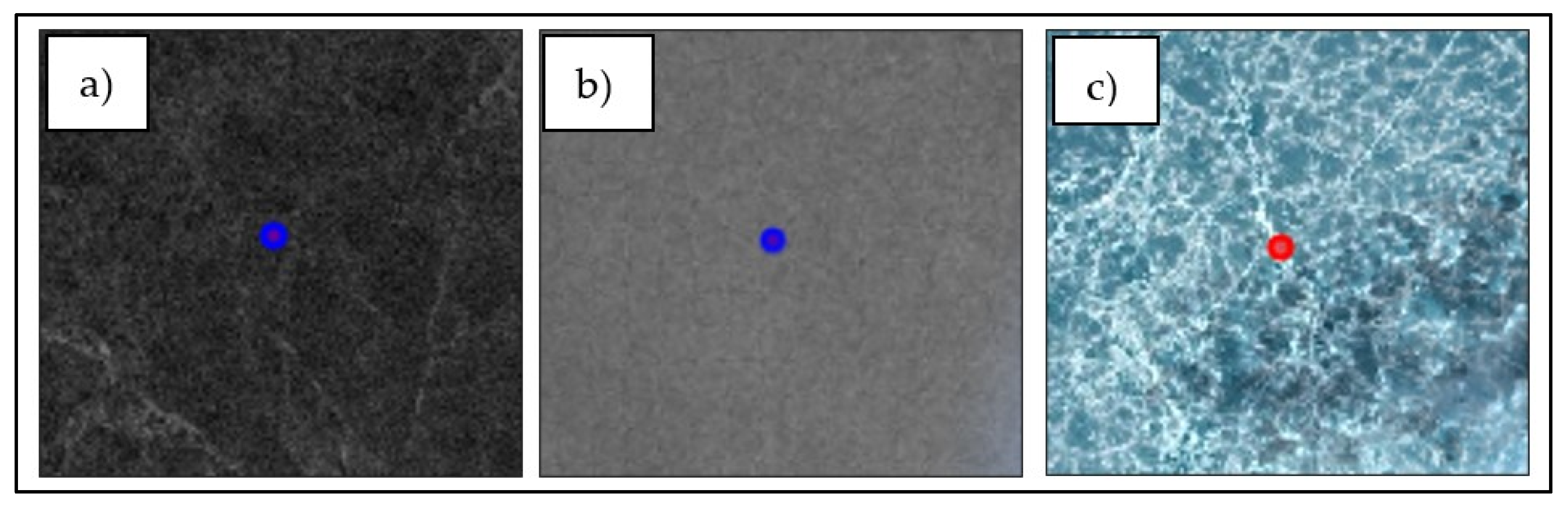 Remotesensing 16 02091 g006