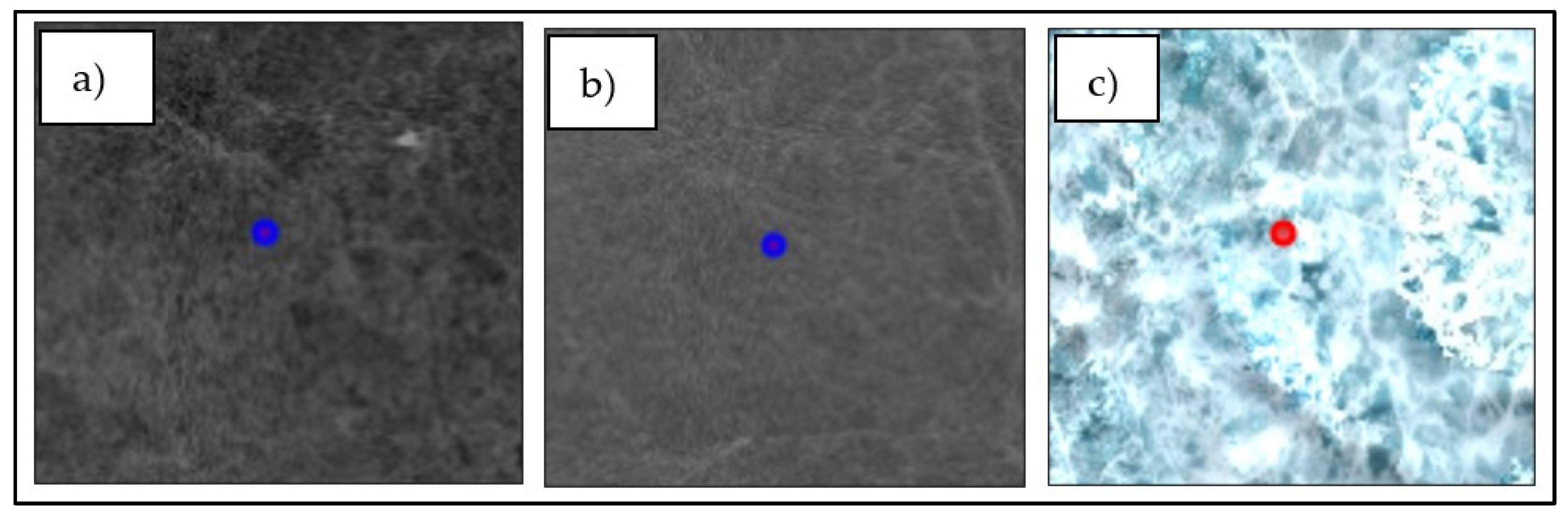 Remotesensing 16 02091 g008