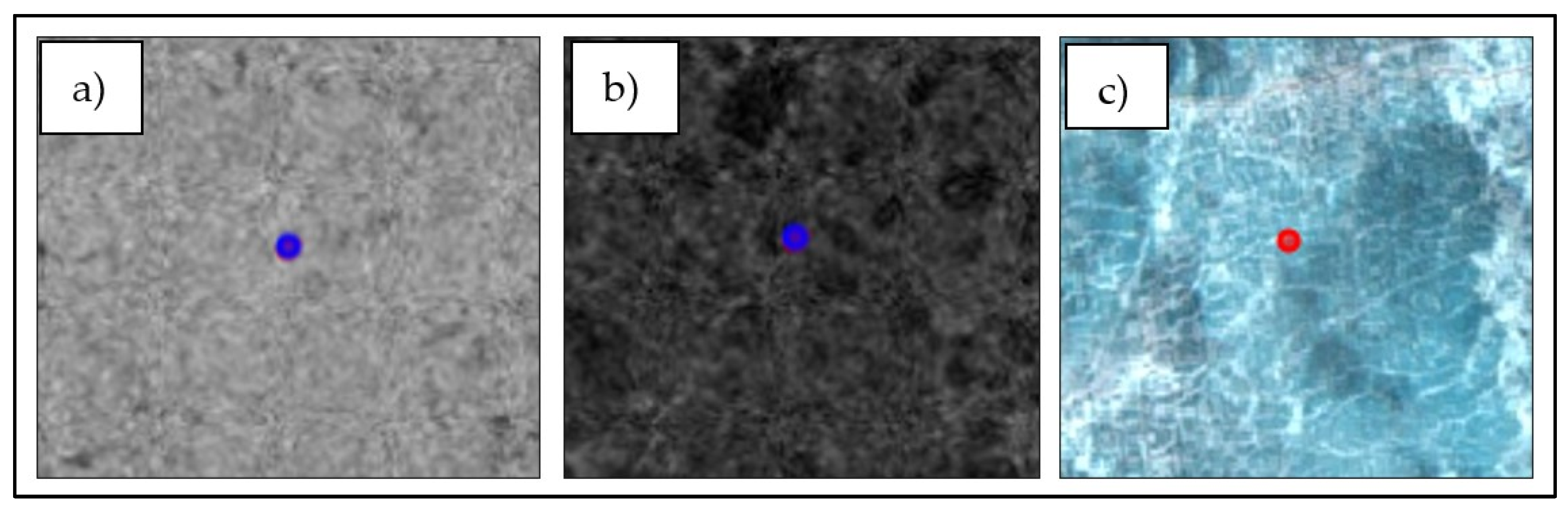 Remotesensing 16 02091 g010