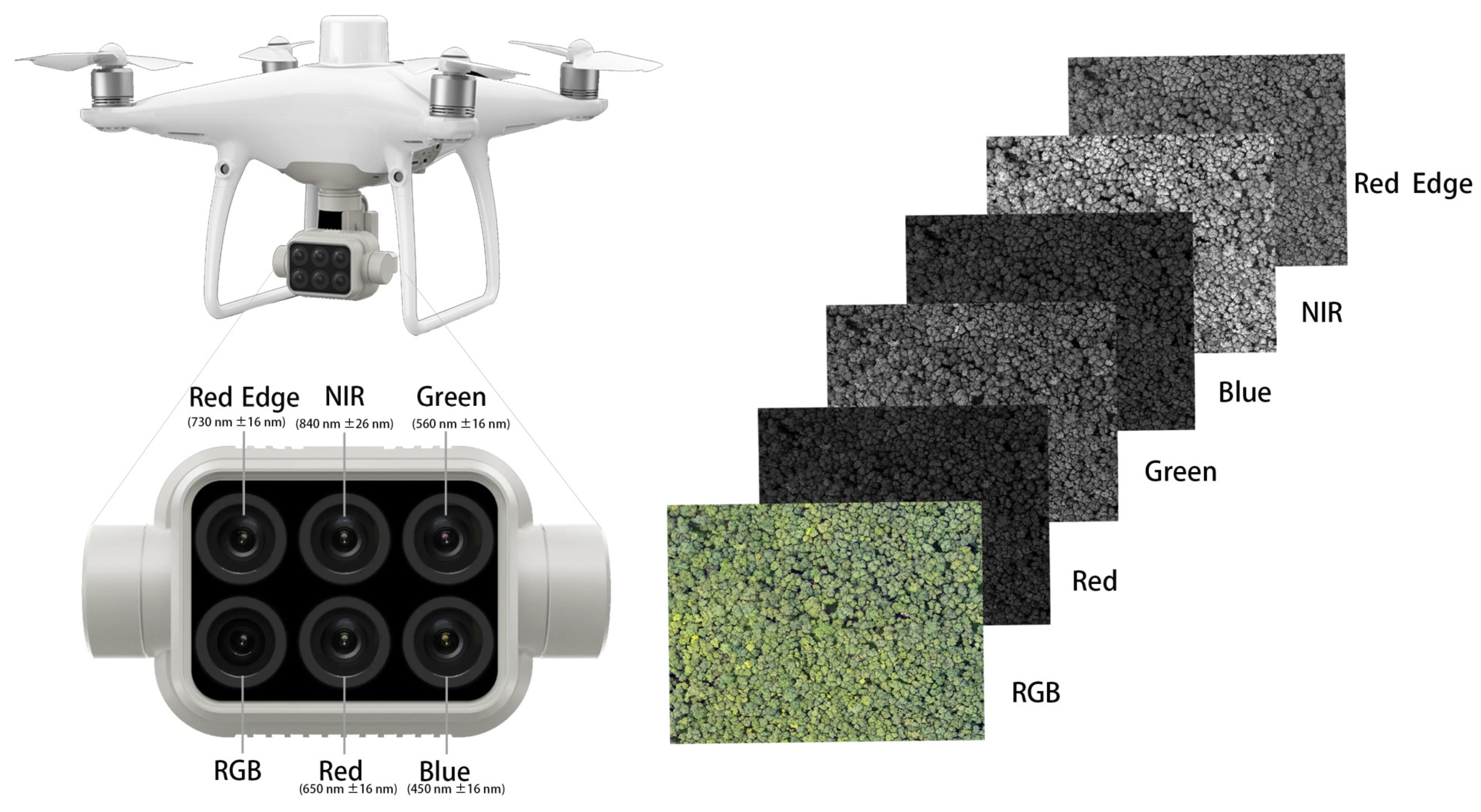 Remotesensing 16 02096 g002