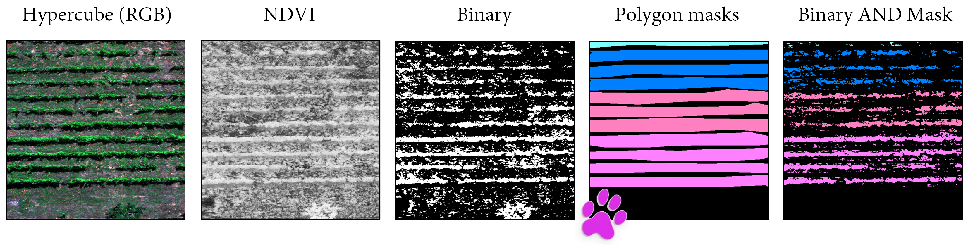 Remotesensing 16 02103 g005