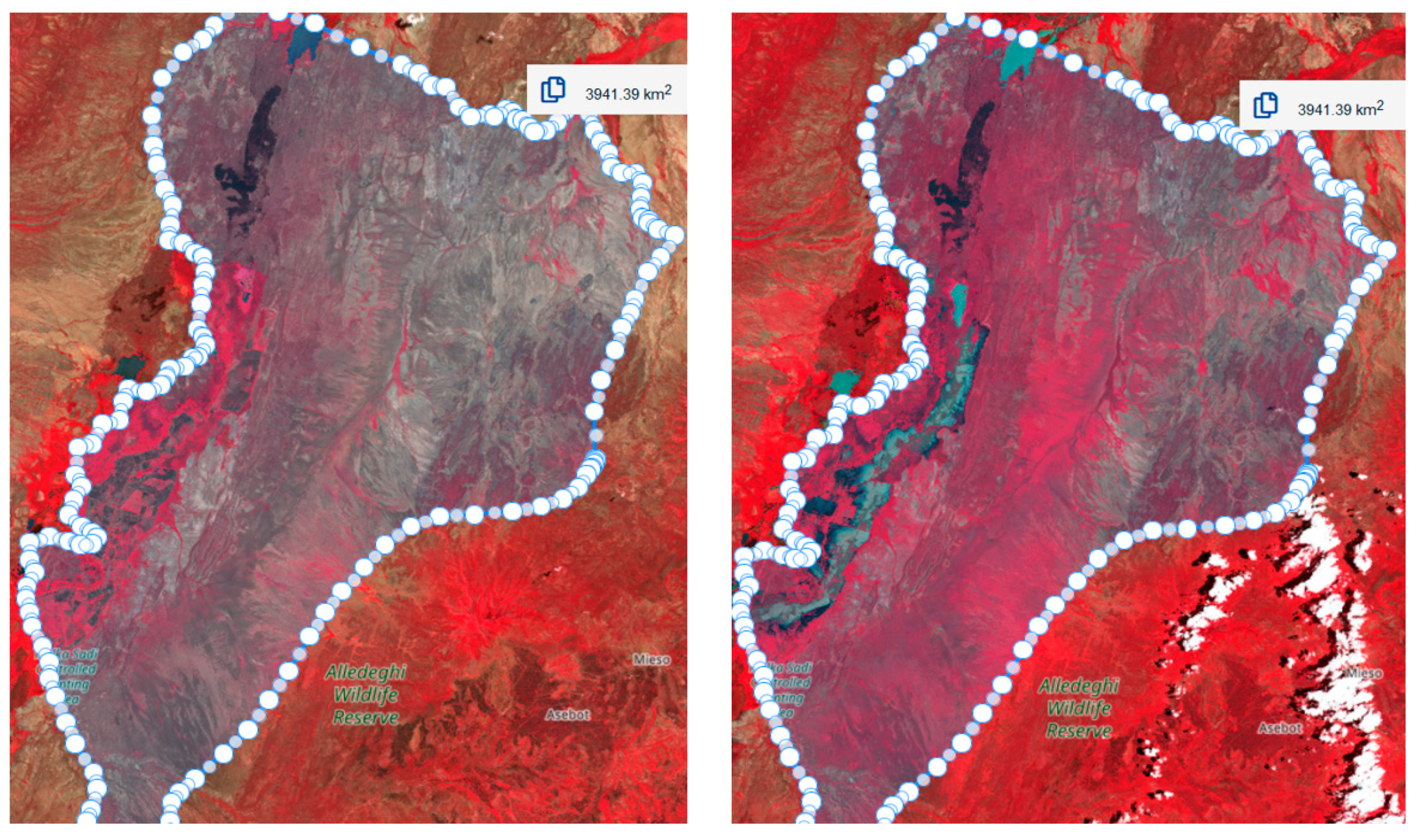 Remotesensing 16 02163 g002